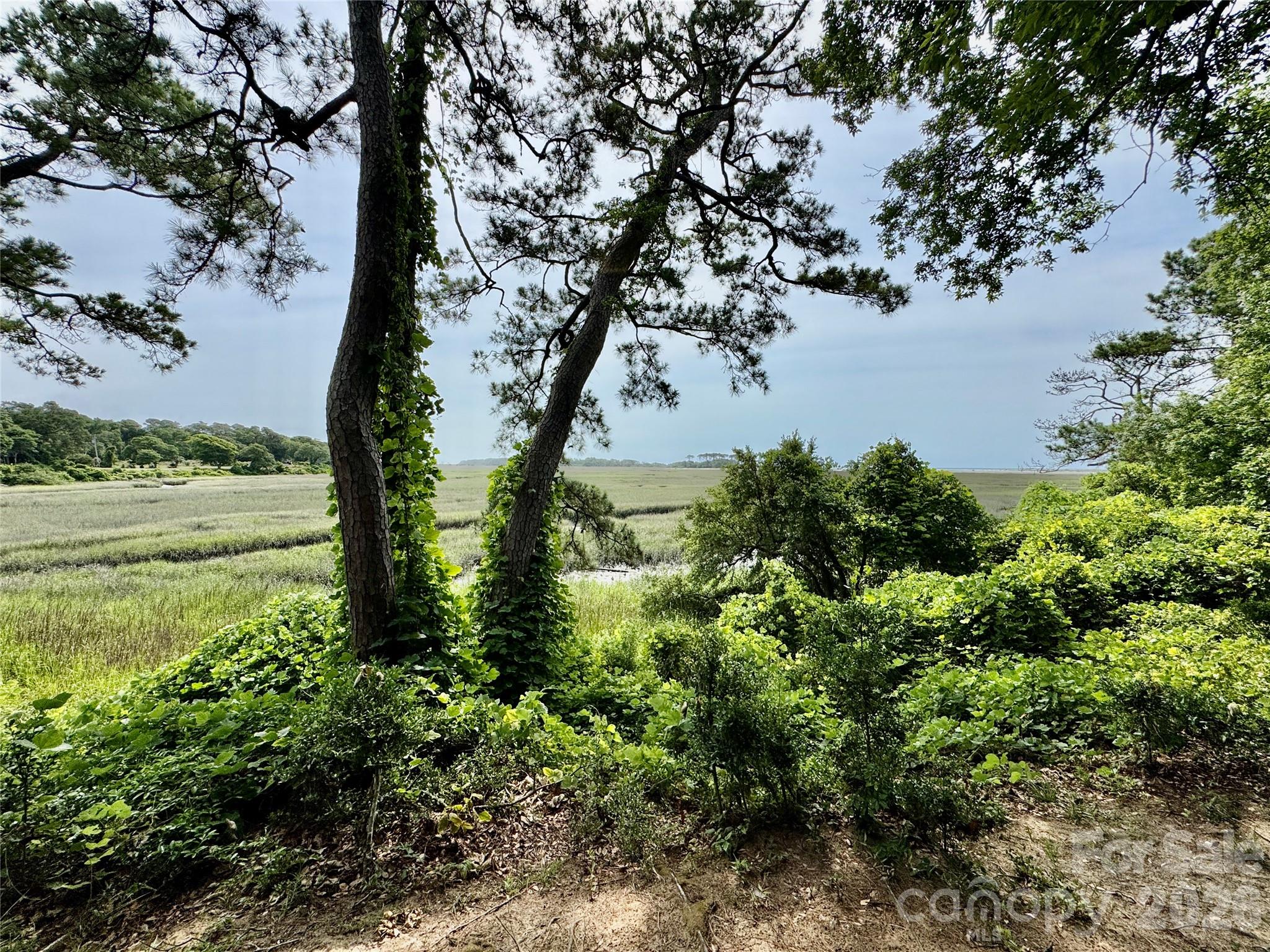 5400 Little River Neck Road Lot 87 Property Photo 35