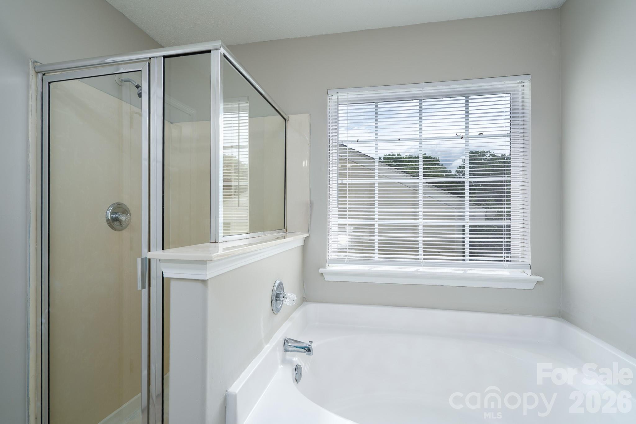 8016 Bronze Pike Drive Property Photo 19