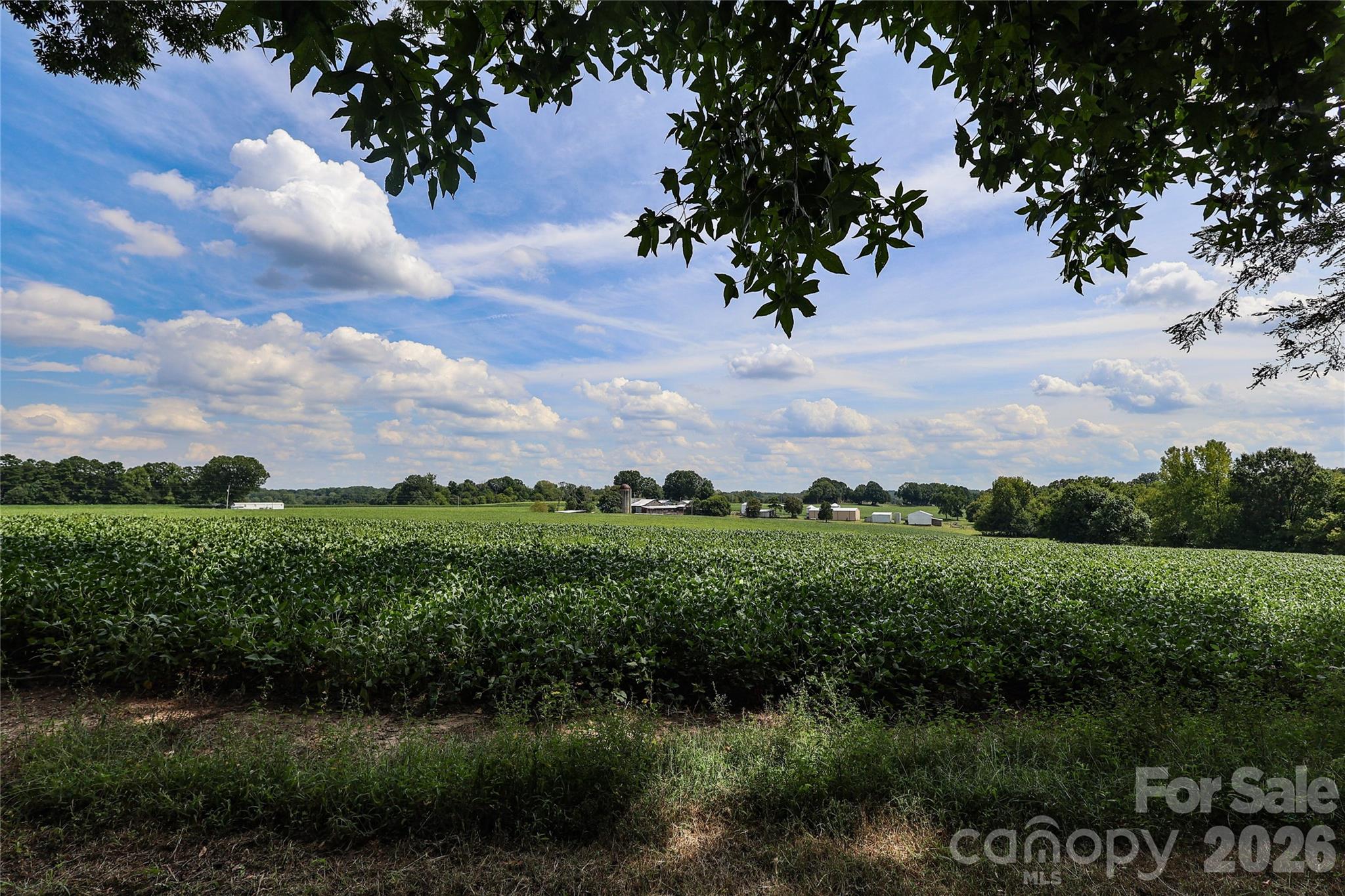 8712 Cool Meadow Drive Property Photo 44