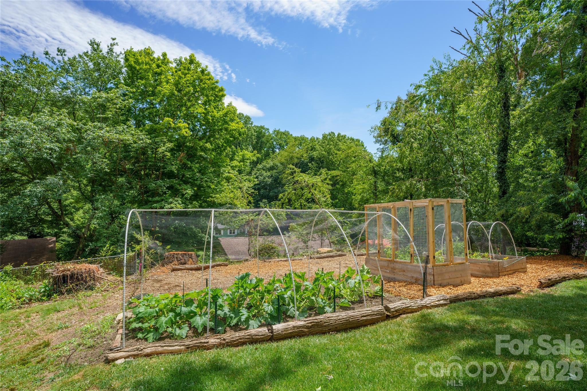 43 Morris Street Property Photo 12