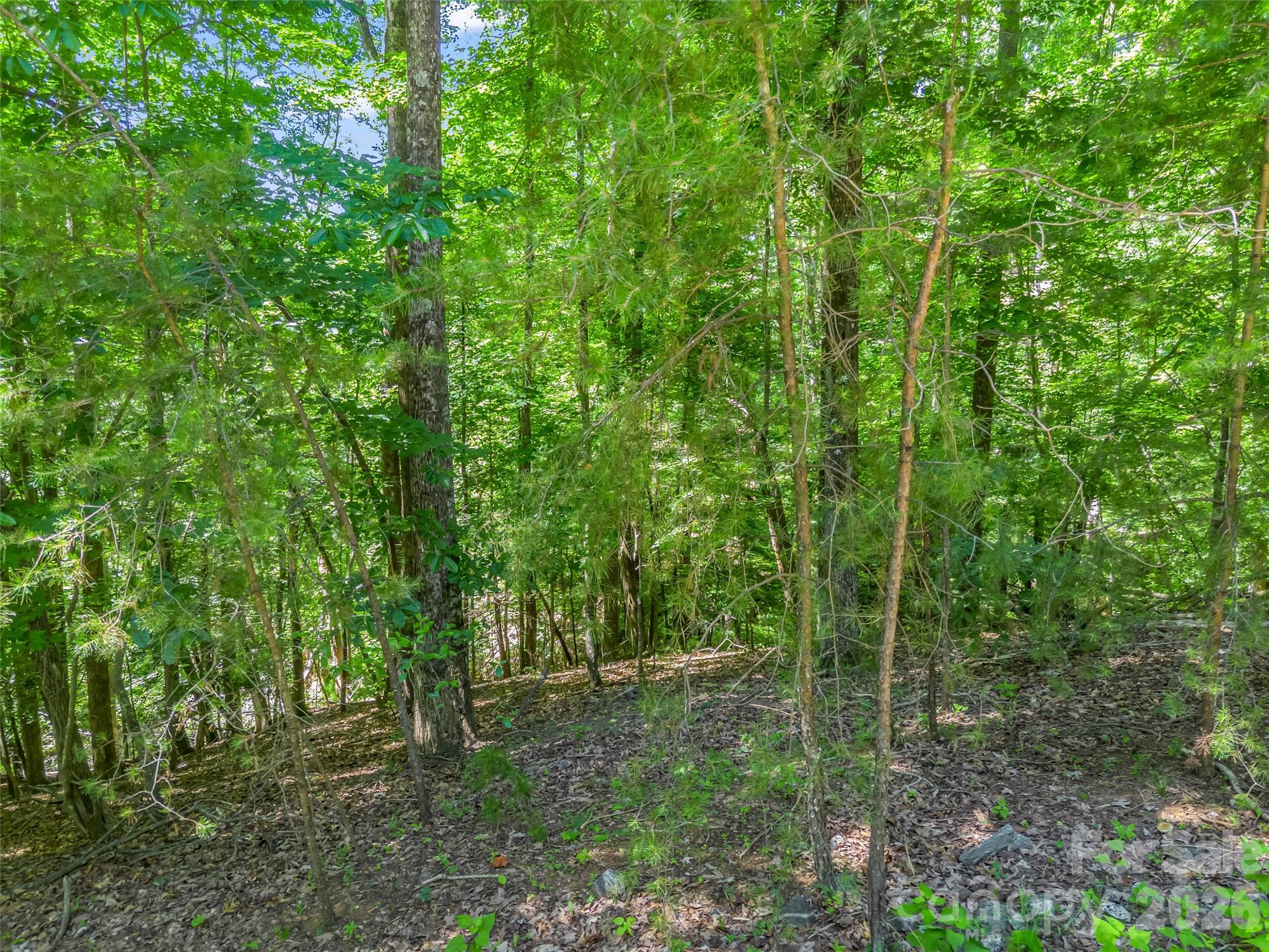 0 Hawks Nest Trail 31 Property Photo 4