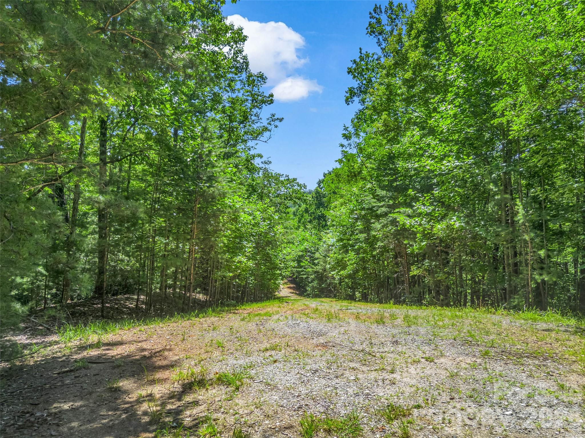 0 Hawks Nest Trail 31 Property Photo 5
