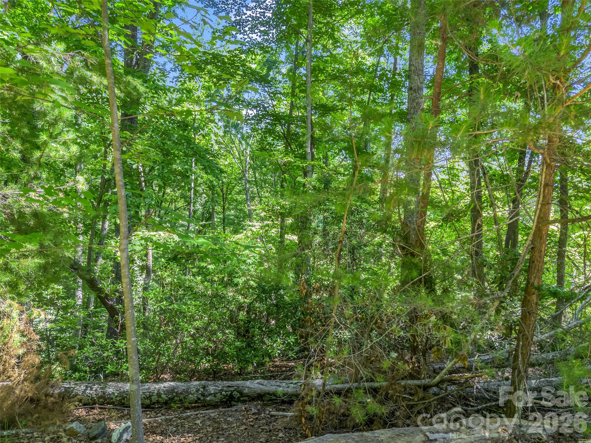 0 Hawks Nest Trail 31 Property Photo 6