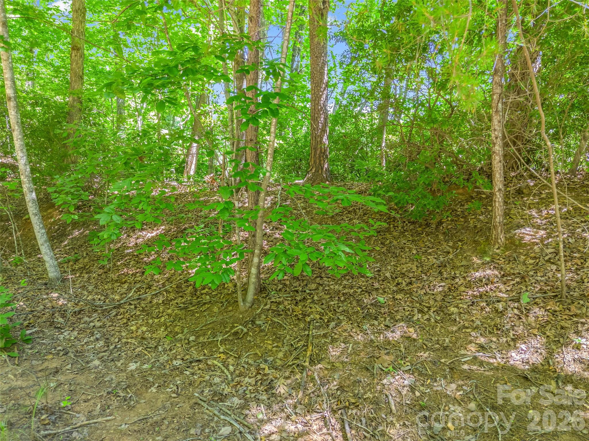 0 Hawks Nest Trail 31 Property Photo 7
