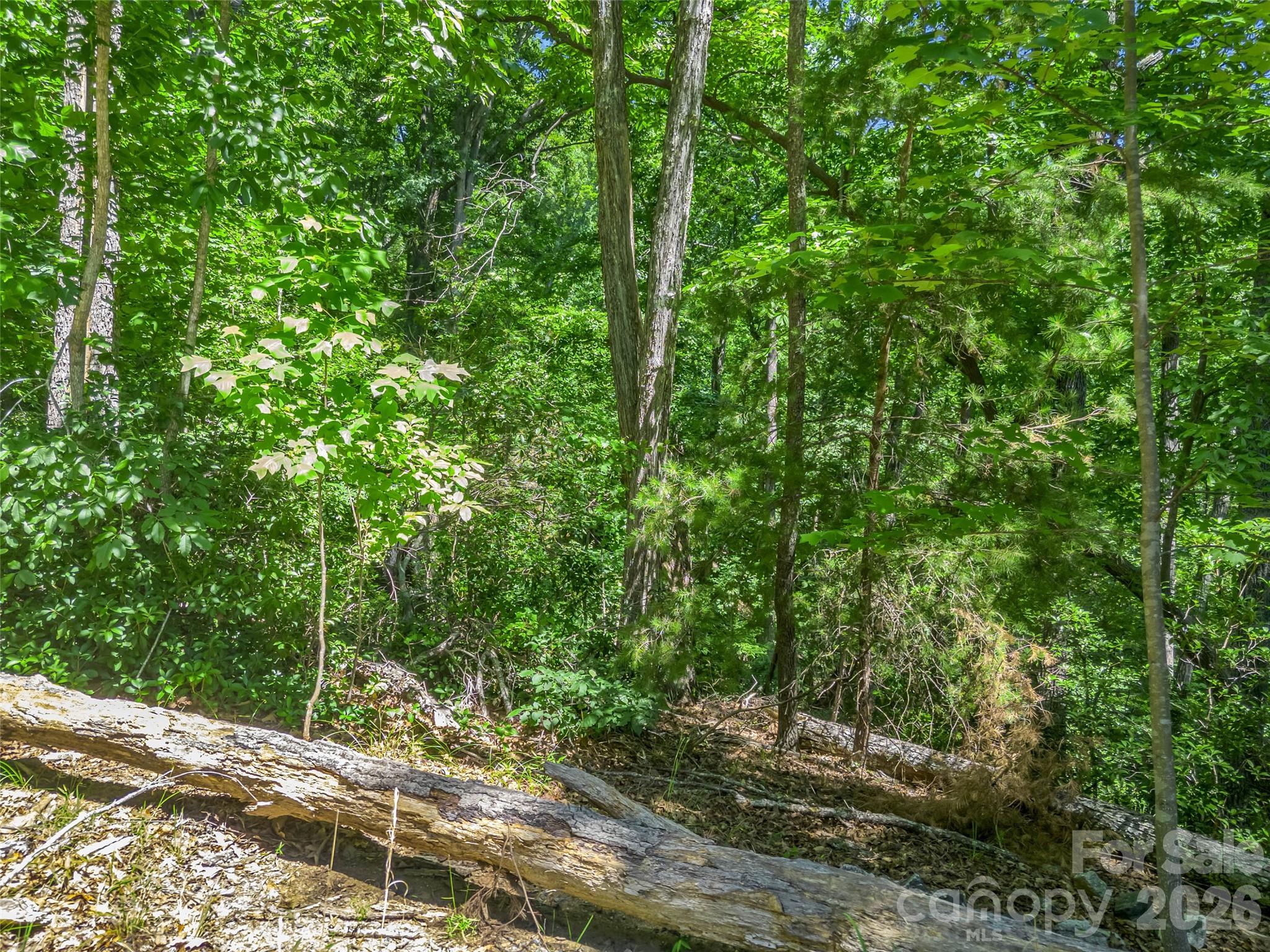 0 Hawks Nest Trail 31 Property Photo 8