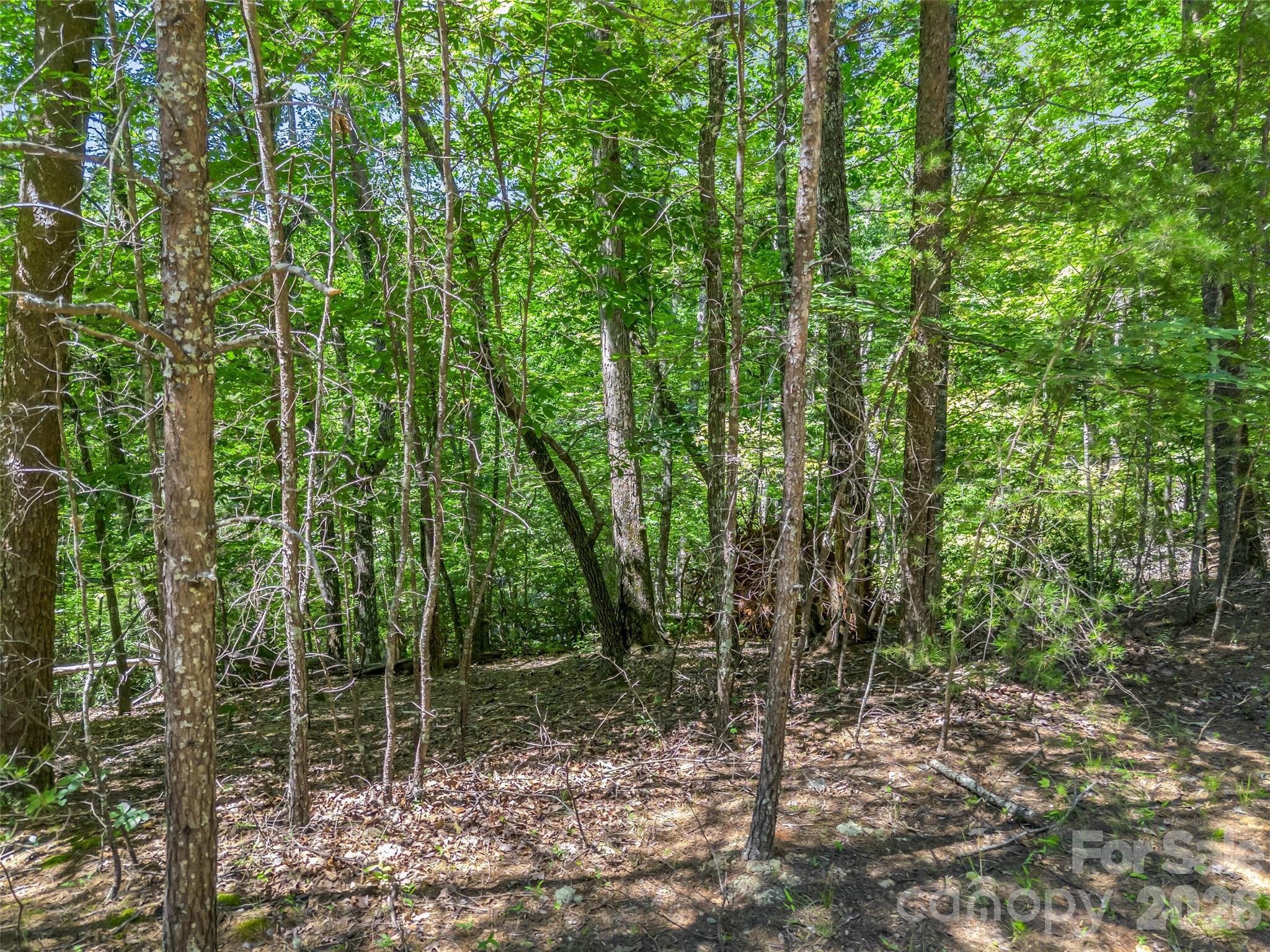 0 Hawks Nest Trail 31 Property Photo 9