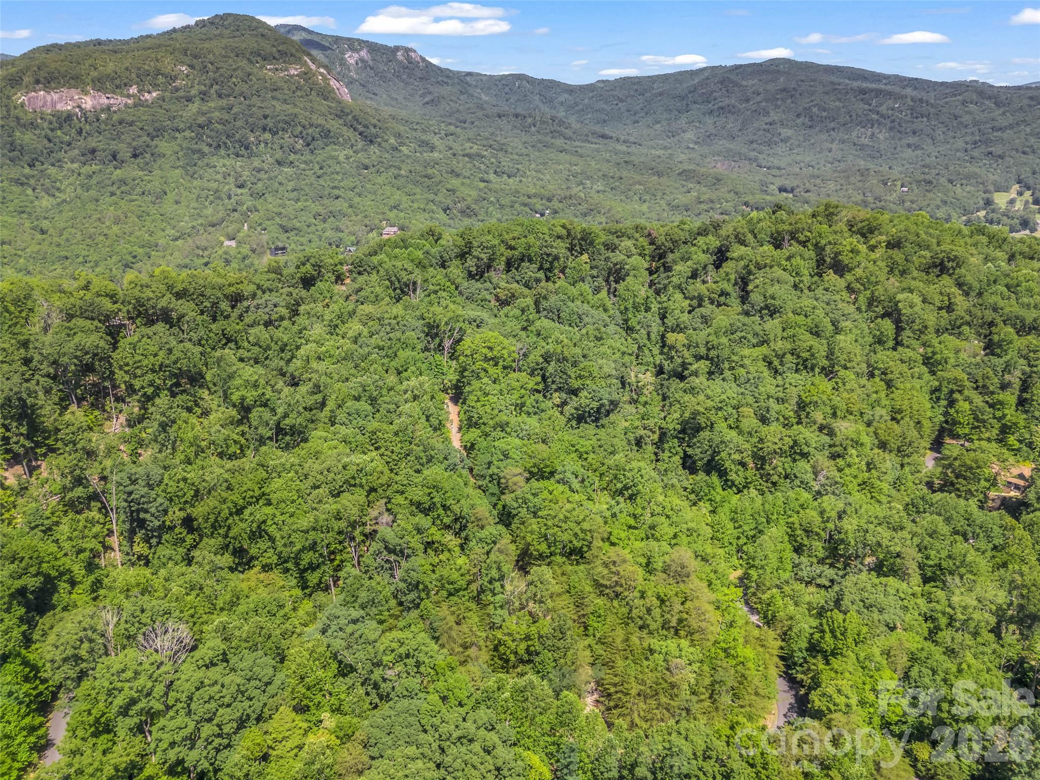 0 Hawks Nest Trail 31 Property Photo 10
