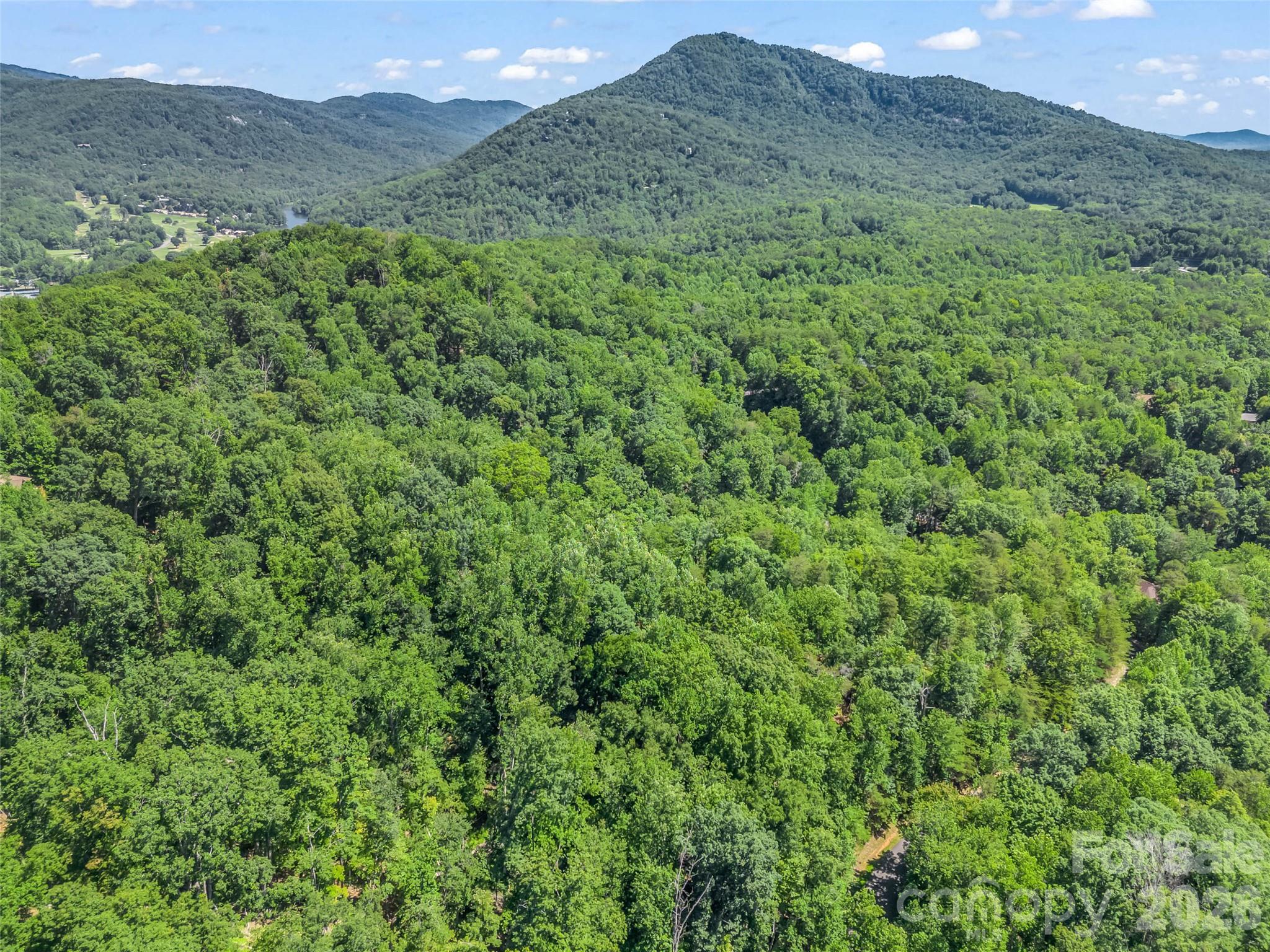 0 Hawks Nest Trail 31 Property Photo 21