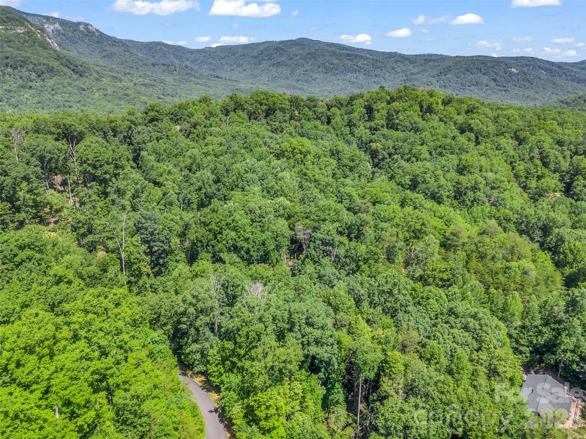 0 Hawks Nest Trail 31 Property Photo 23