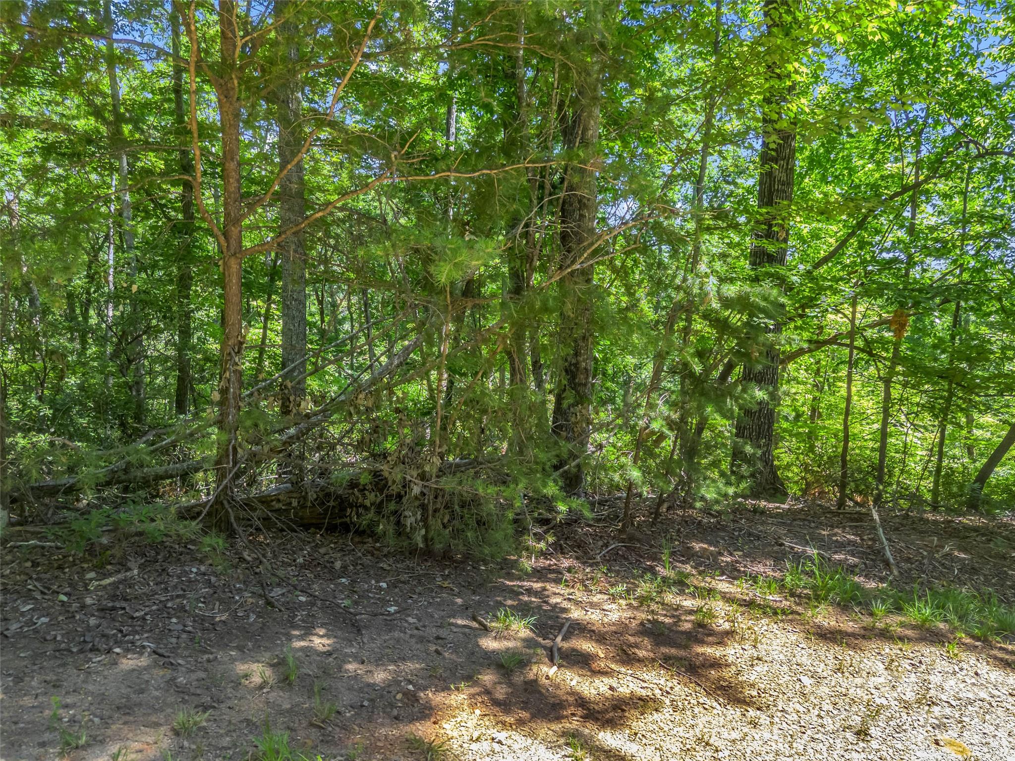 0 Hawks Nest Trail 31 Property Photo 25
