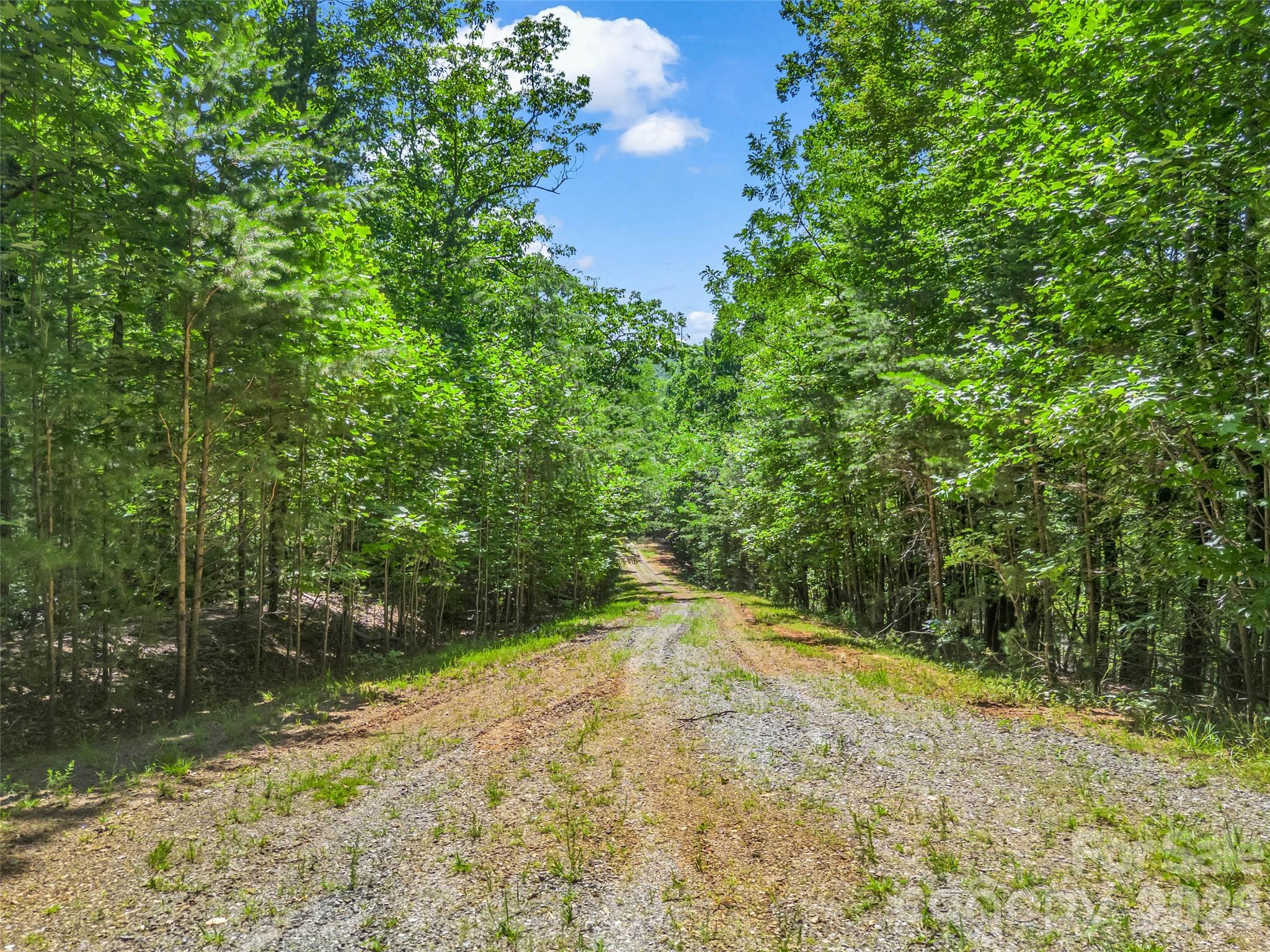 0 Hawks Nest Trail 31 Property Photo 26