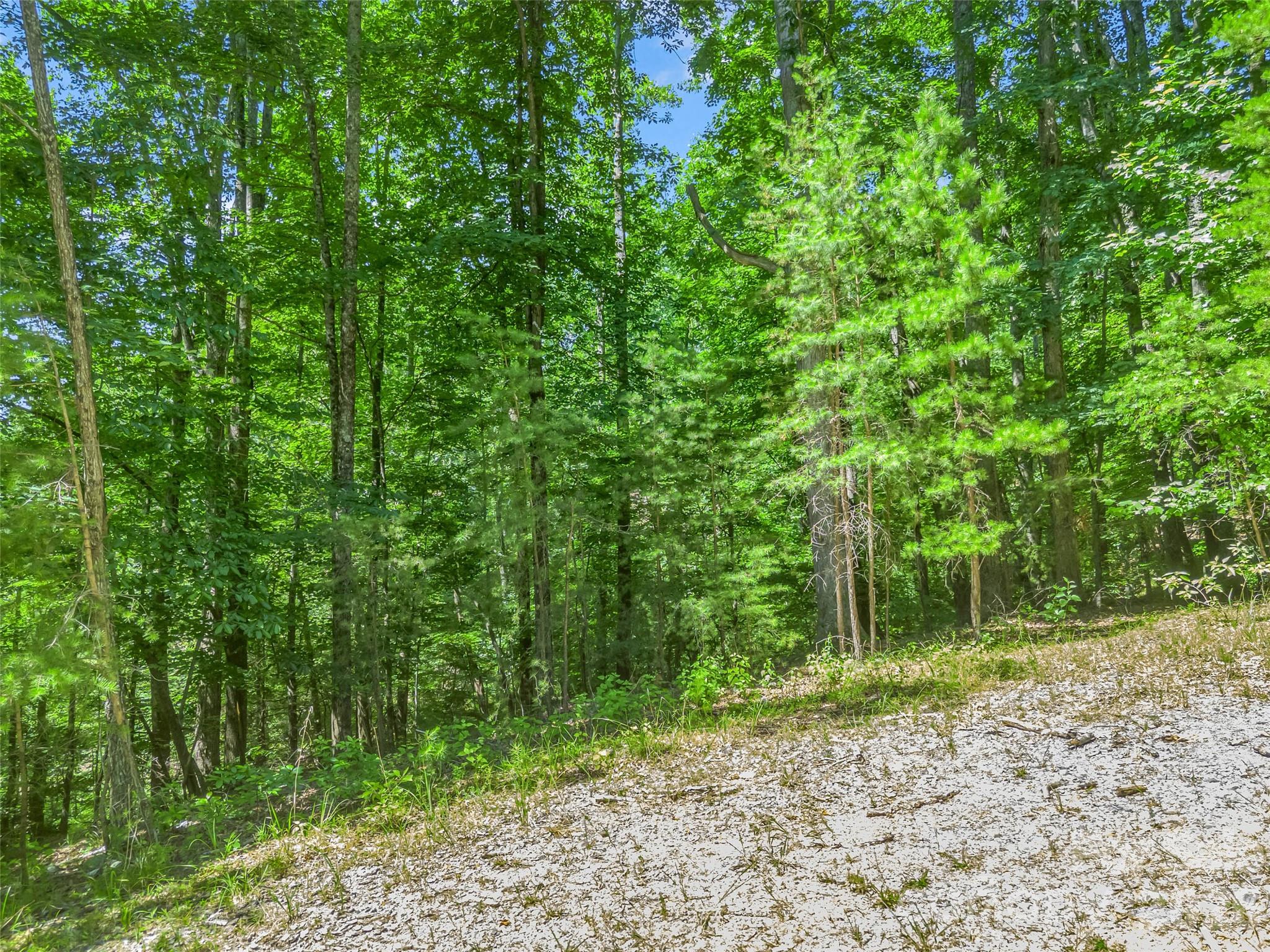 0 Hawks Nest Trail 31 Property Photo 27