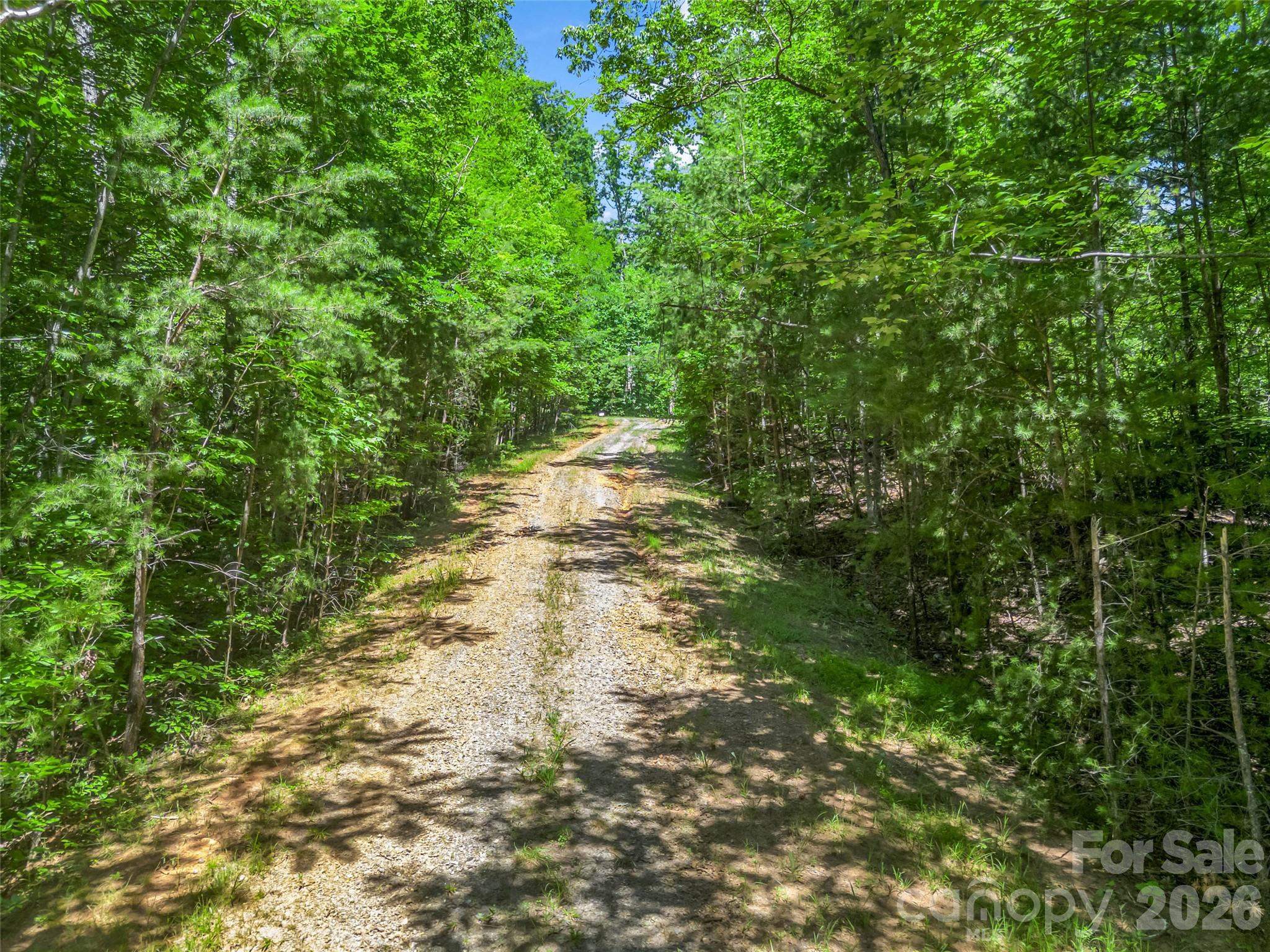 0 Hawks Nest Trail 31 Property Photo 29