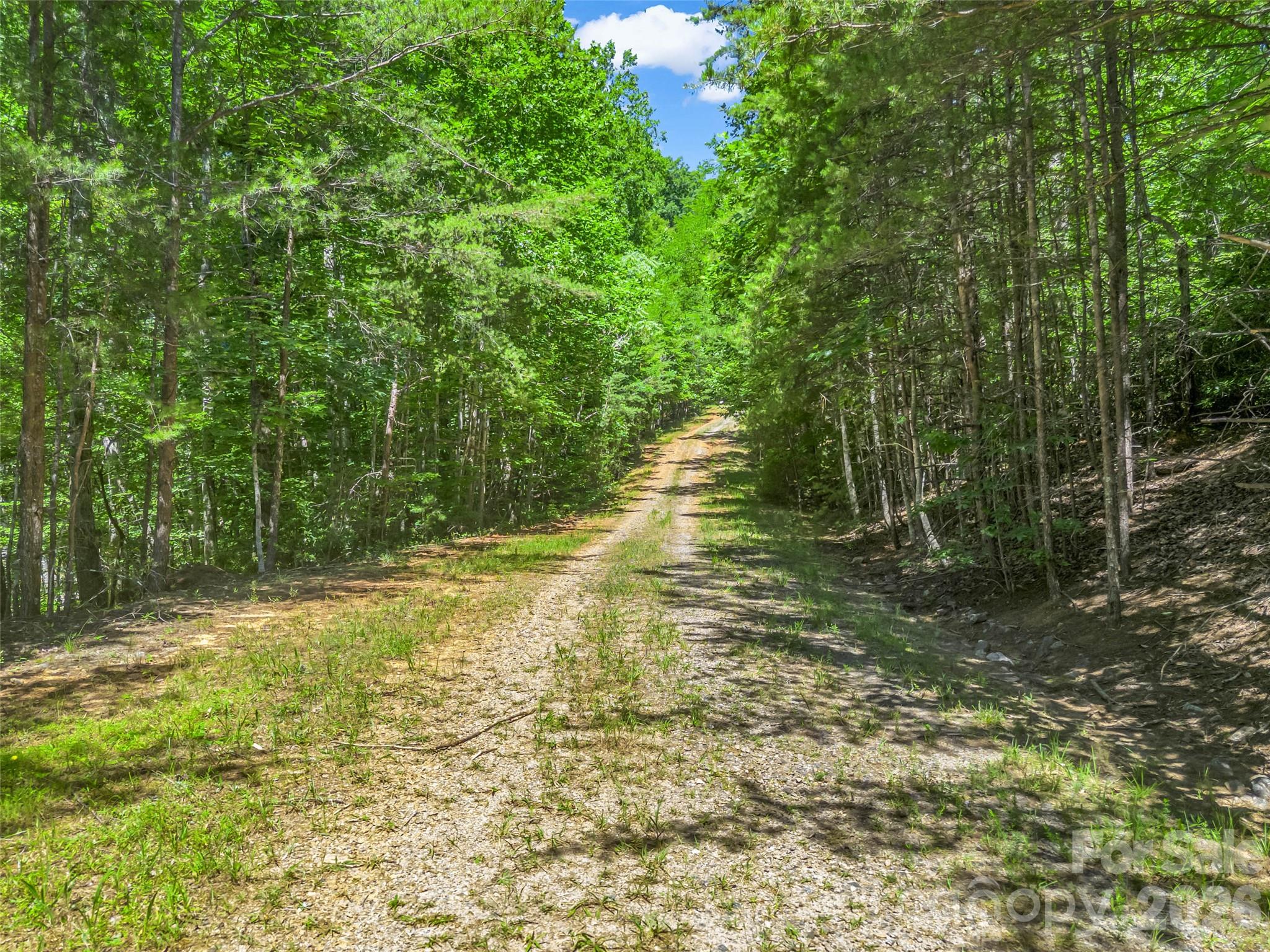 0 Hawks Nest Trail 31 Property Photo 30