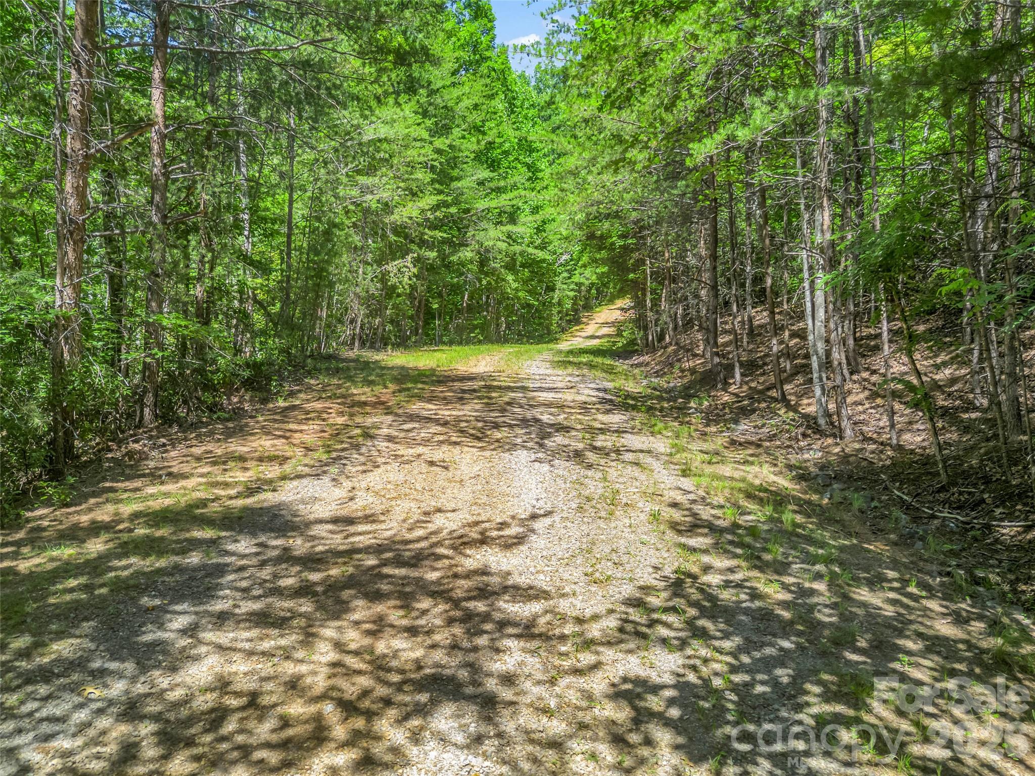 0 Hawks Nest Trail 31 Property Photo 31