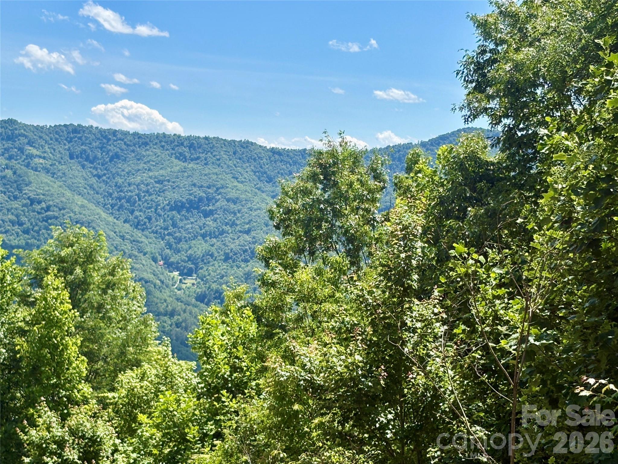 0 Eagles Roost Road 70 Property Photo 1