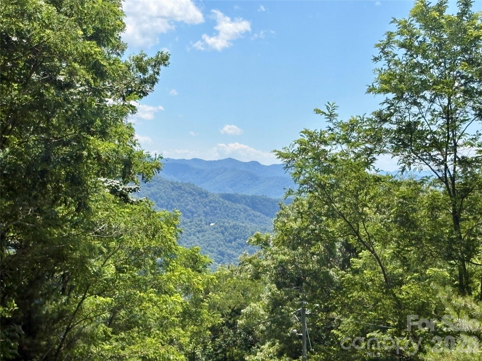 0 Eagles Roost Road 70 Property Photo 2