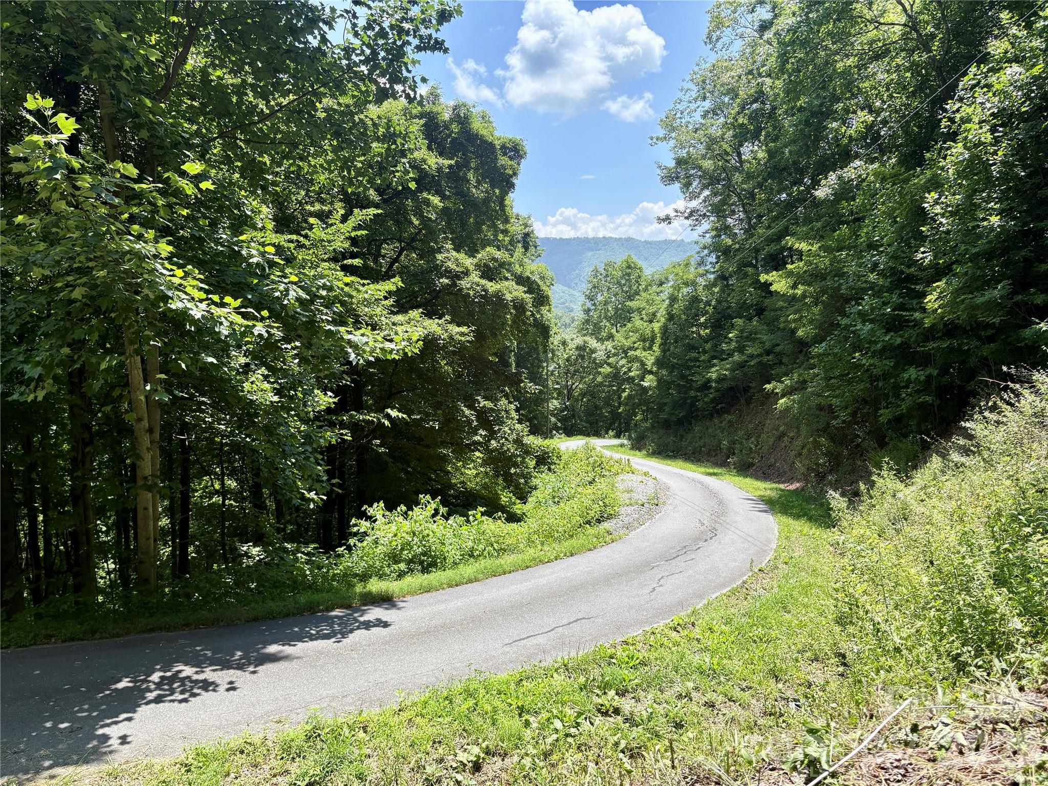 0 Eagles Roost Road 70 Property Photo 3
