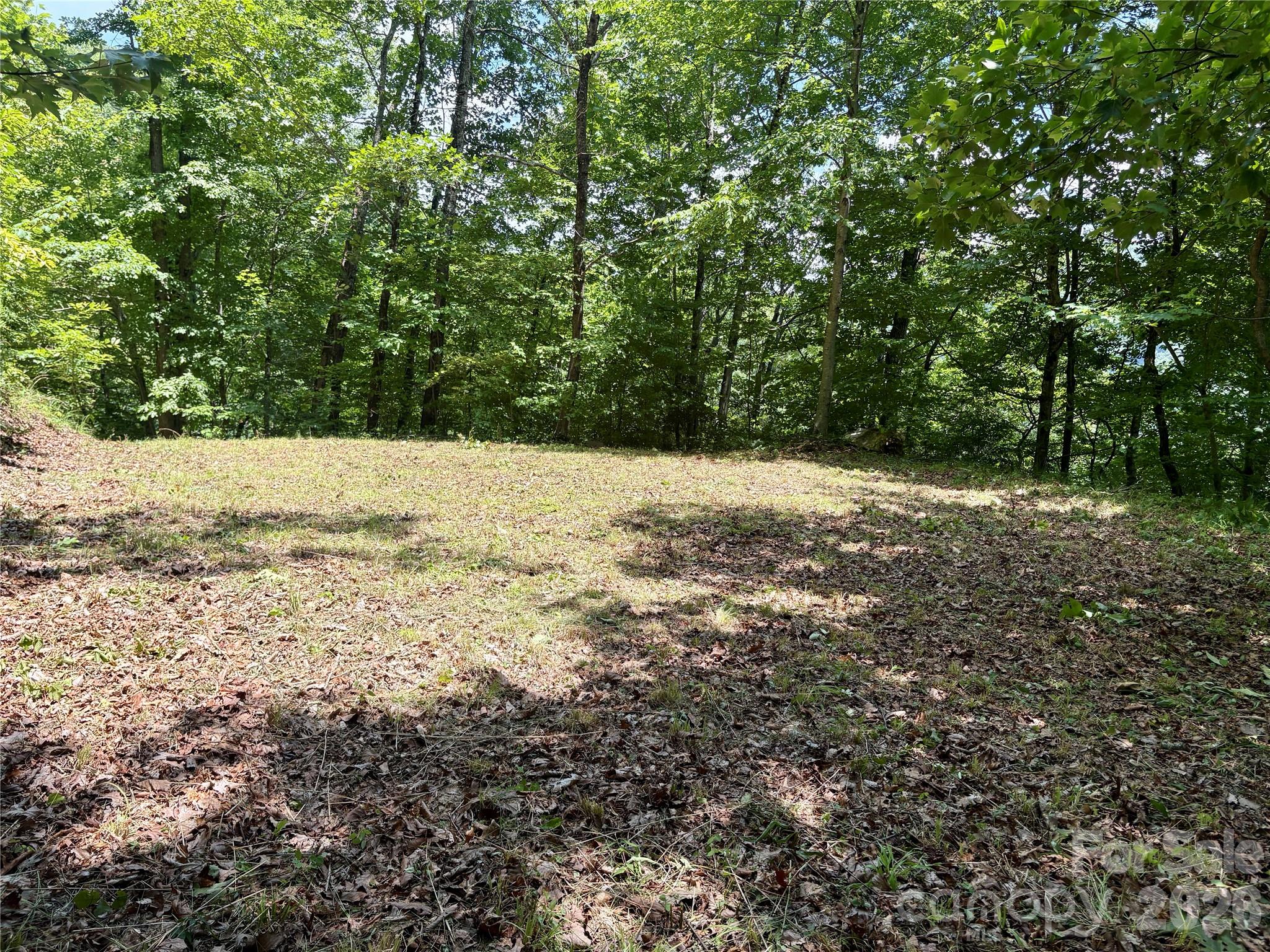0 Eagles Roost Road 70 Property Photo 4