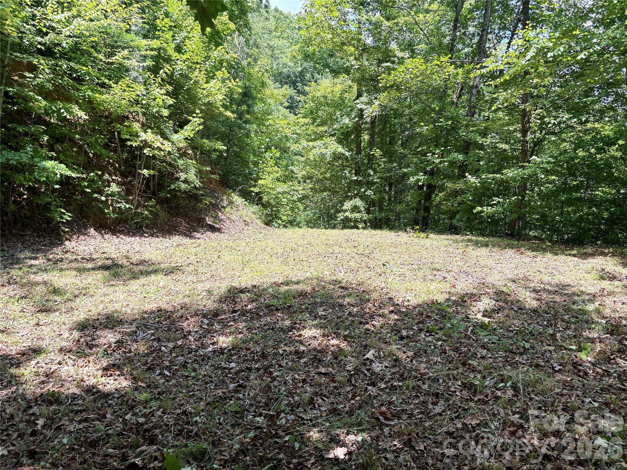 0 Eagles Roost Road 70 Property Photo 5