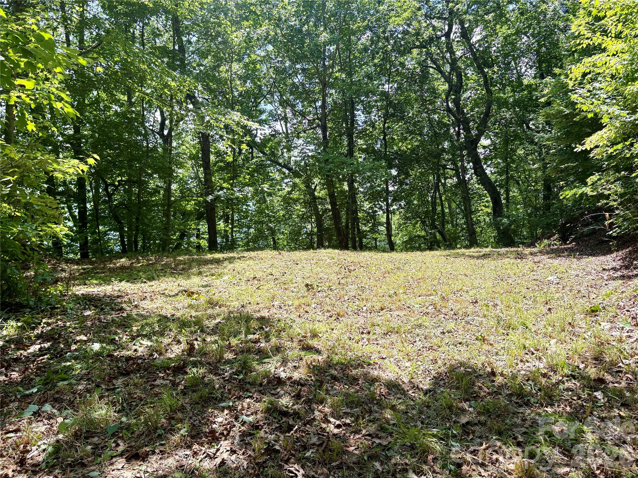 0 Eagles Roost Road 70 Property Photo 6