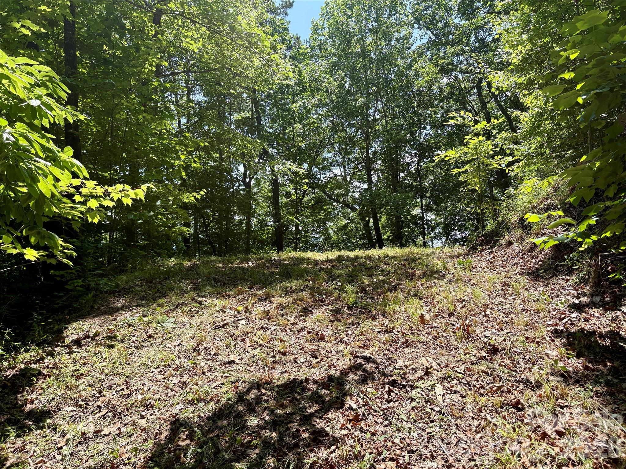 0 Eagles Roost Road 70 Property Photo 8