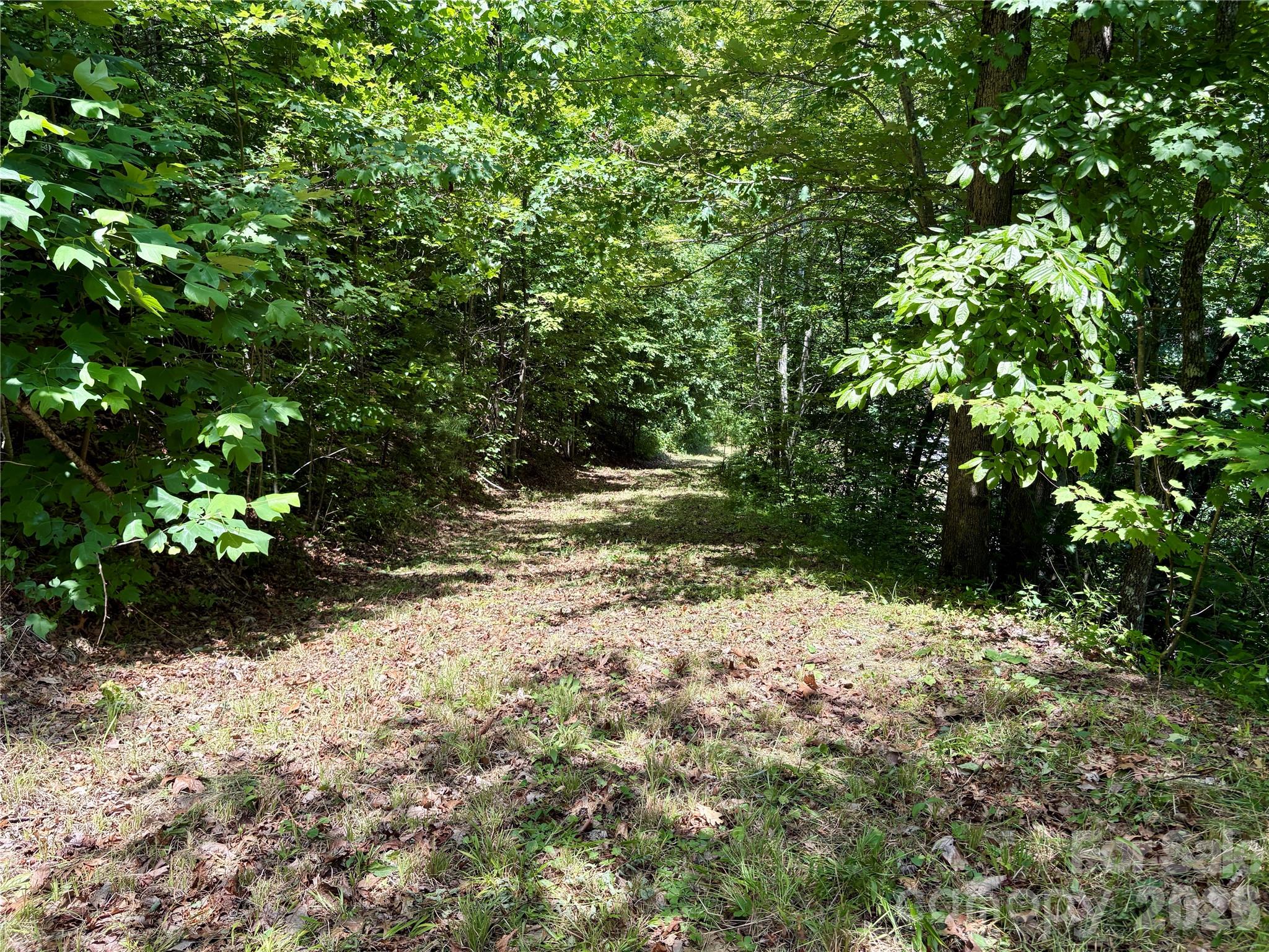 0 Eagles Roost Road 70 Property Photo 9