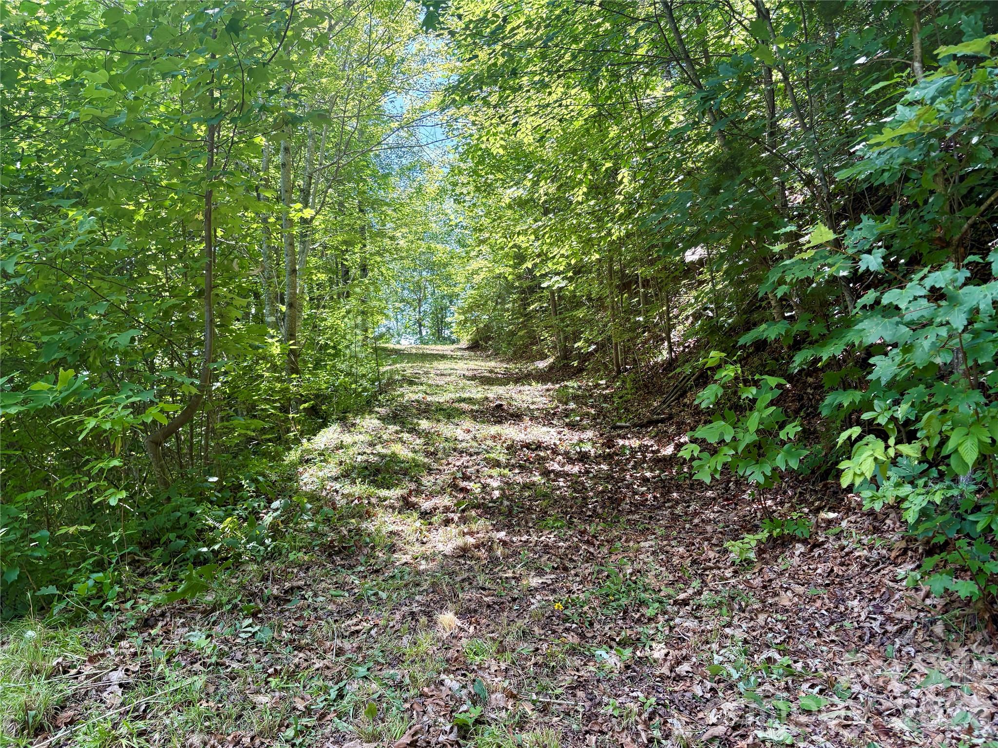 0 Eagles Roost Road 70 Property Photo 10