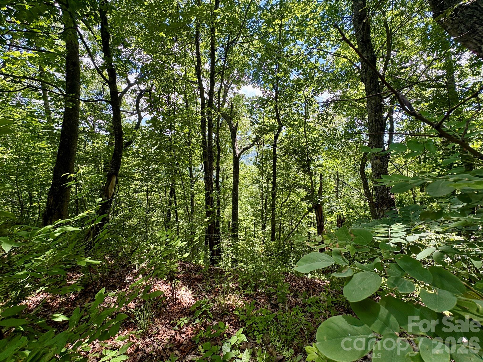 0 Eagles Roost Road 70 Property Photo 12