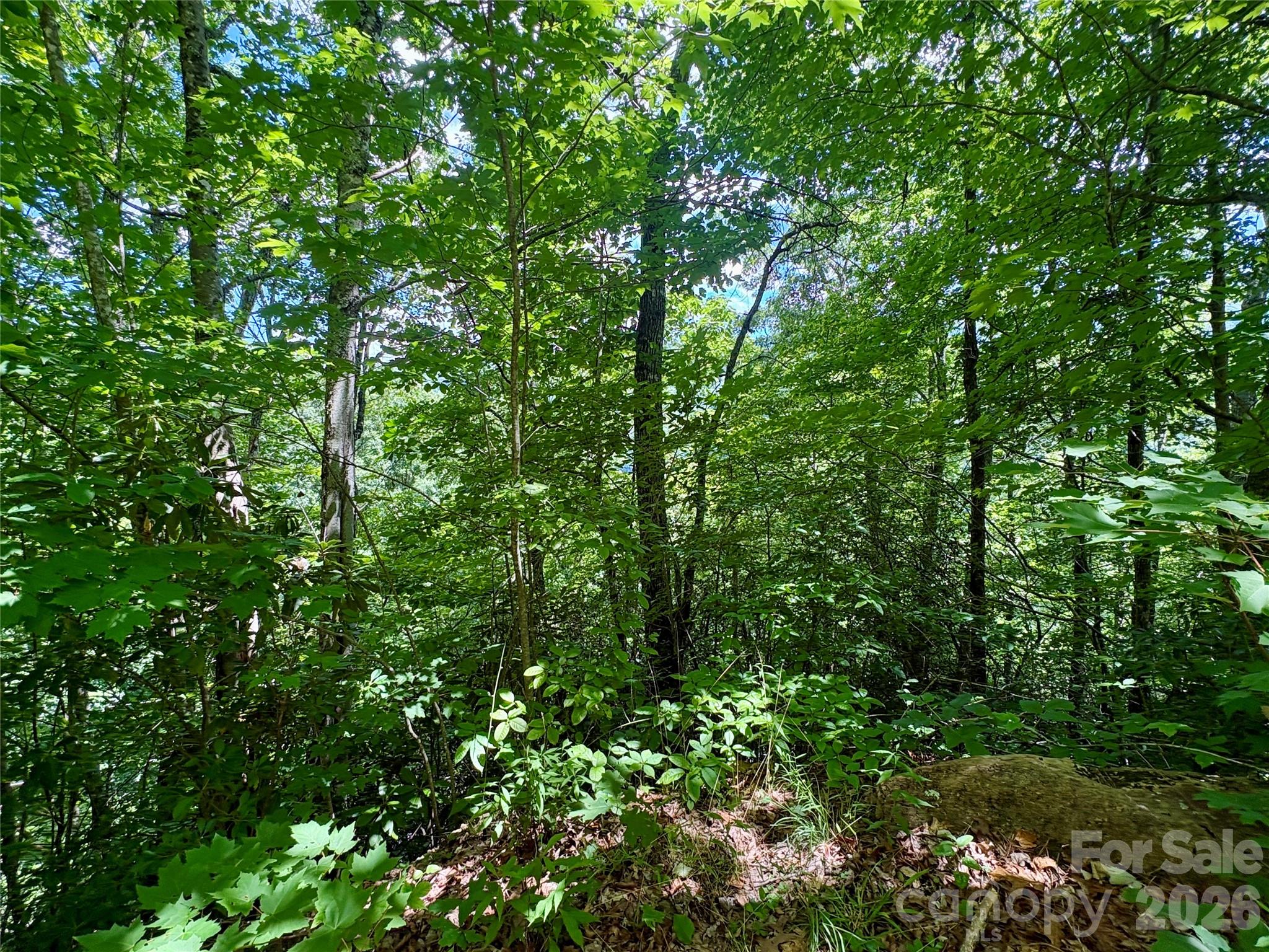 0 Eagles Roost Road 70 Property Photo 13