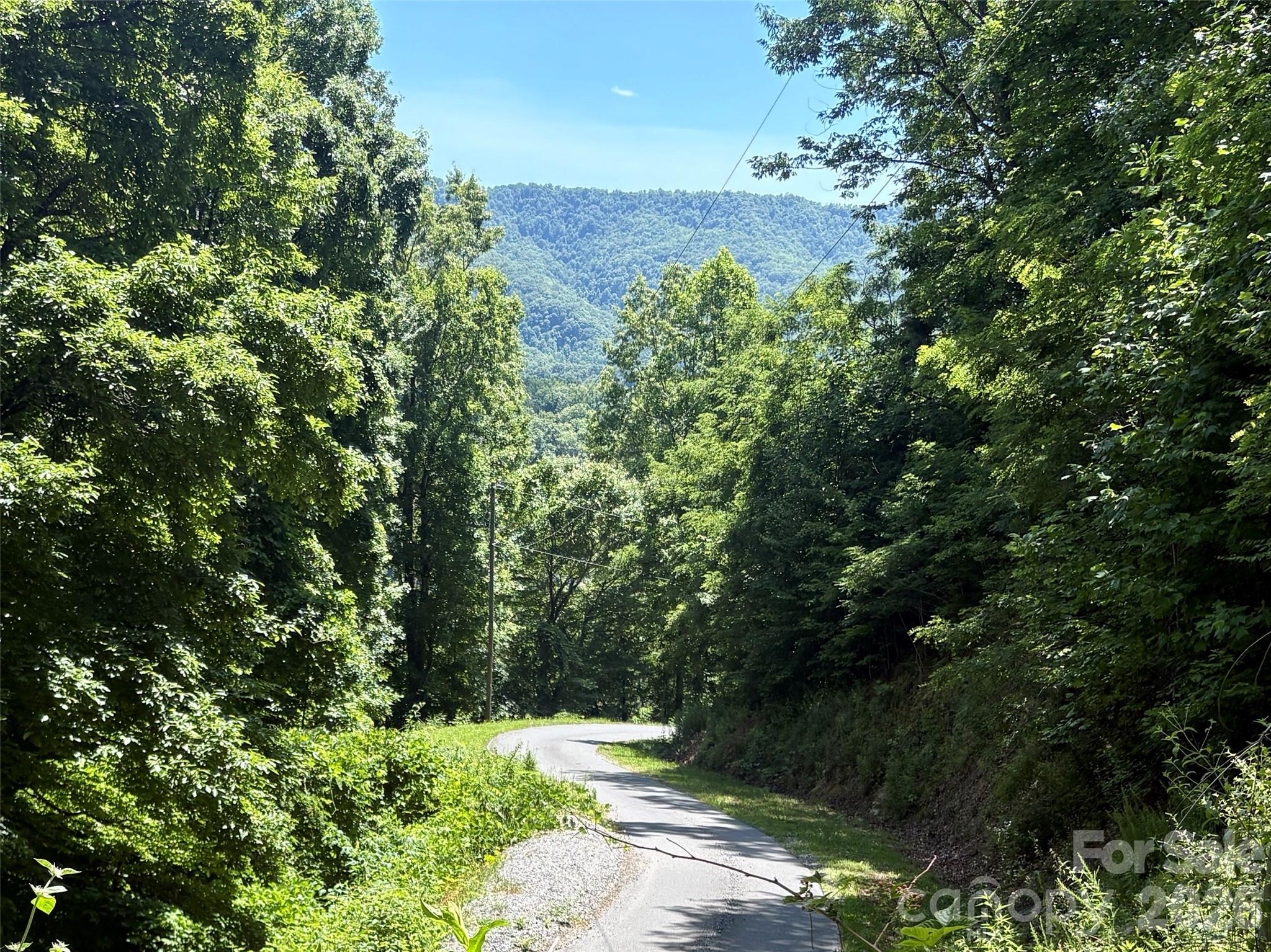 0 Eagles Roost Road 70 Property Photo 14