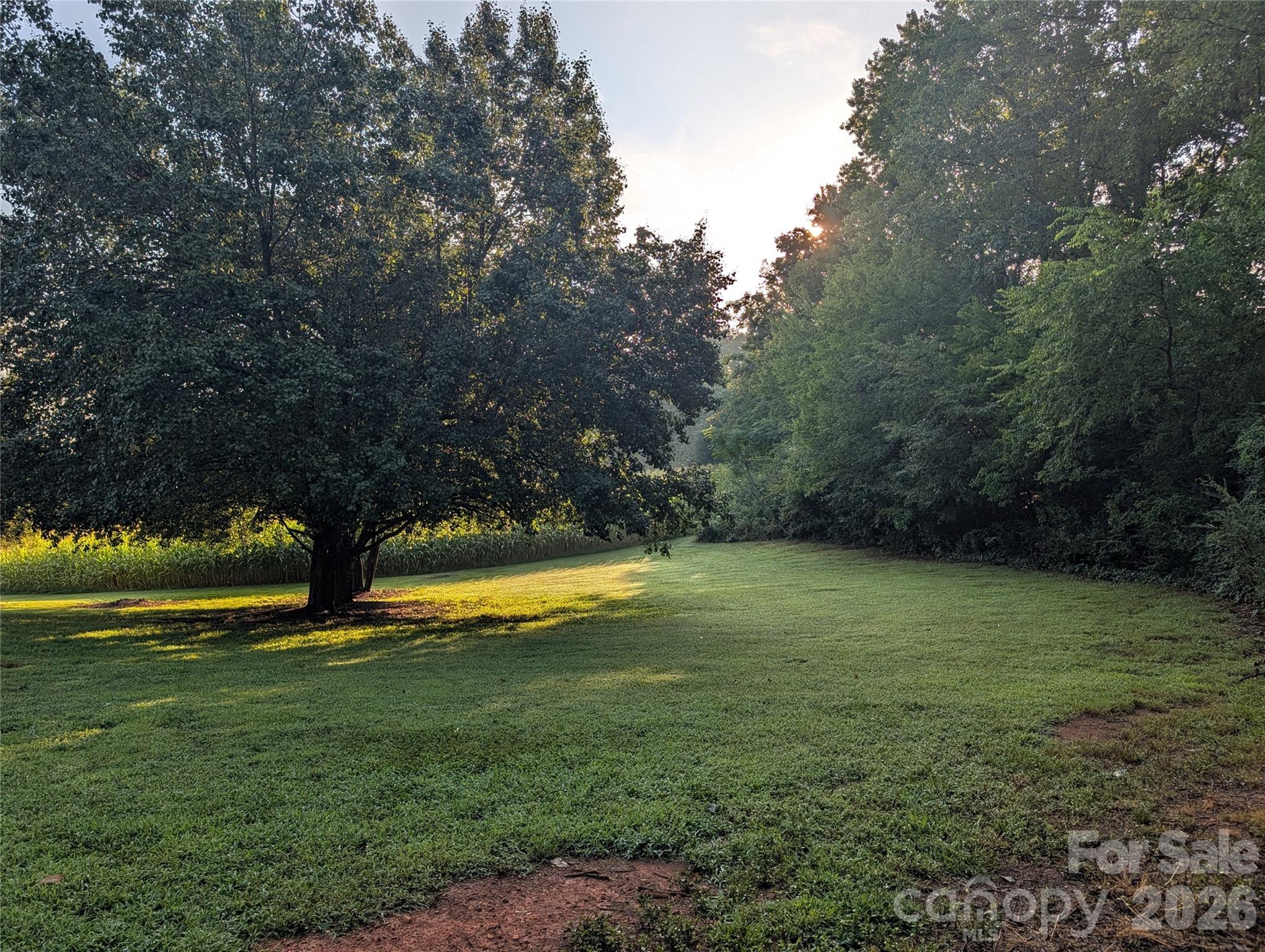 10174 Nc 138 Highway Property Photo 7