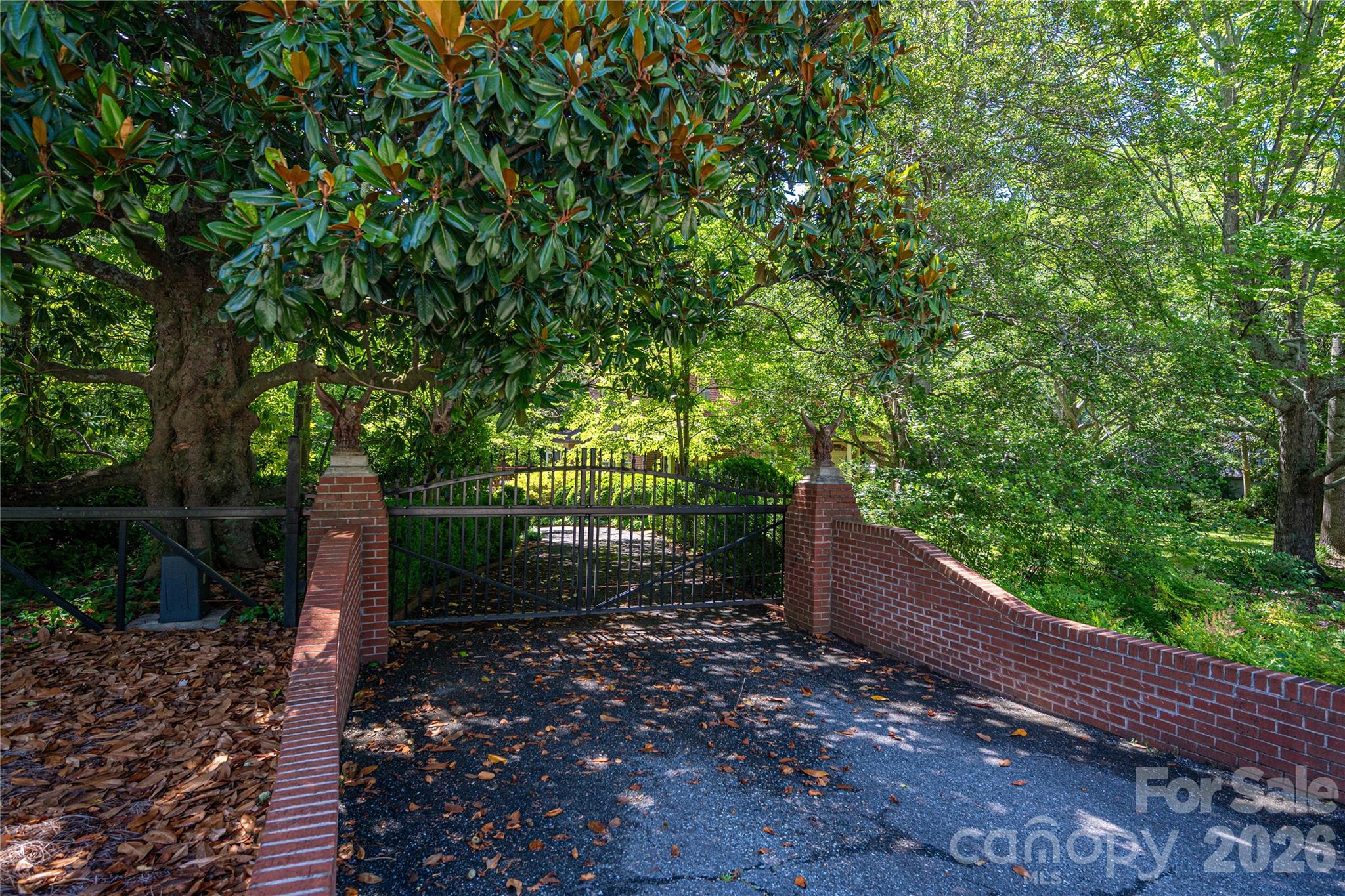 805 S Aspen Street Property Photo 3