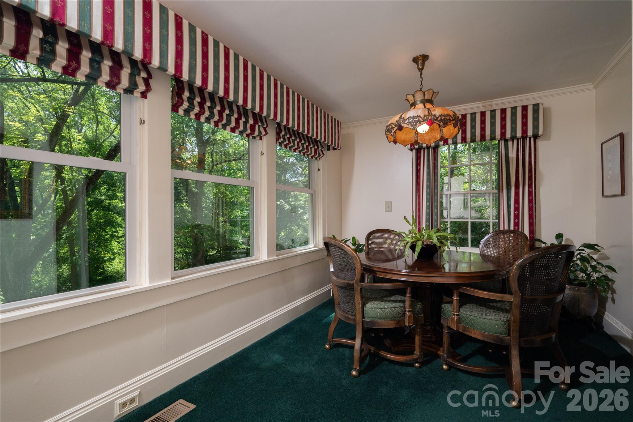 805 S Aspen Street Property Photo 15
