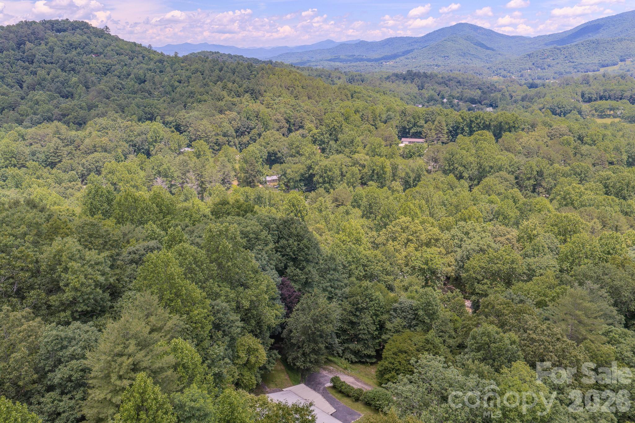 35 Coweeta Ridge Road Property Photo 8