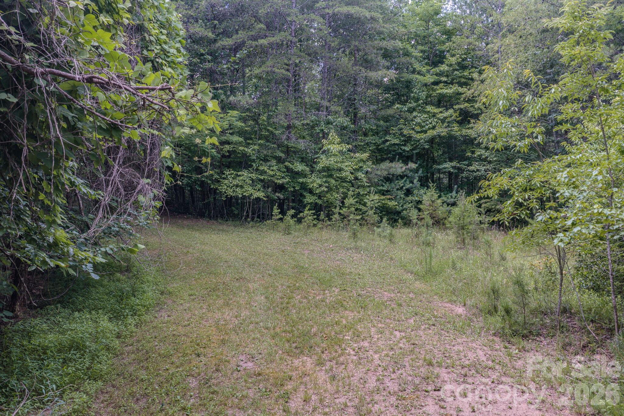 35 Coweeta Ridge Road Property Photo 43