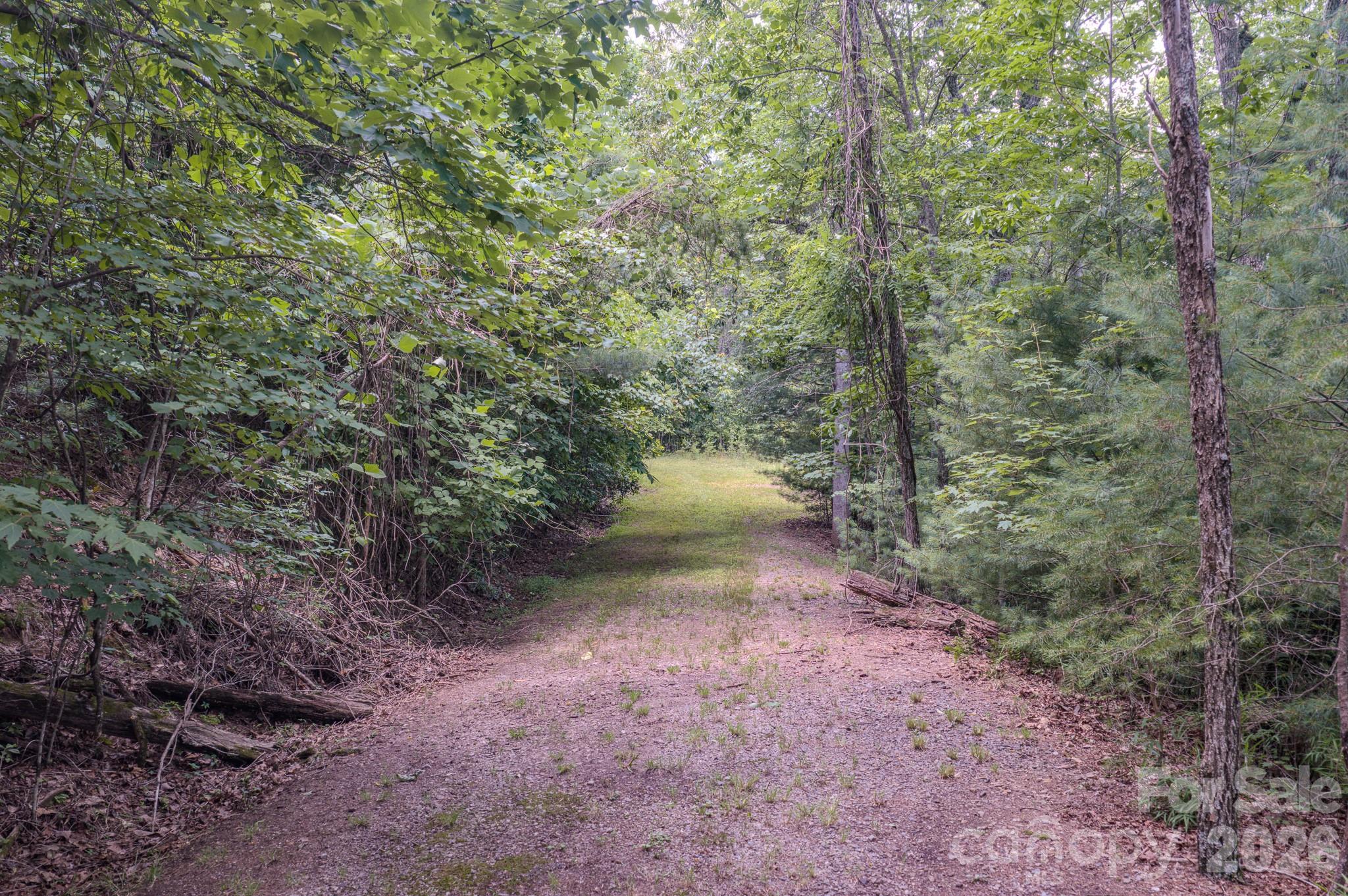 35 Coweeta Ridge Road Property Photo 44