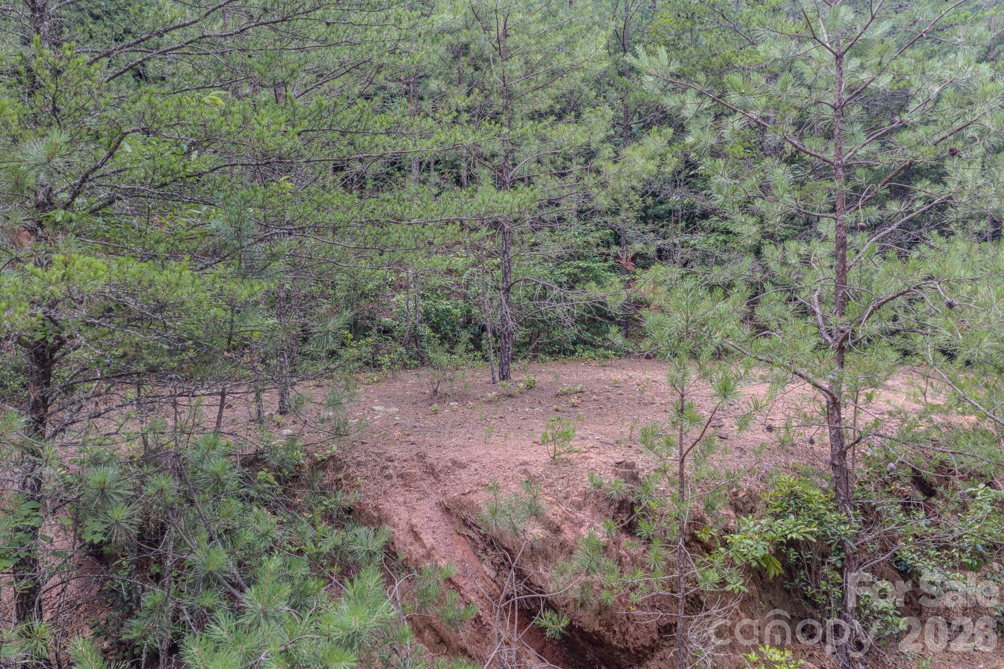 35 Coweeta Ridge Road Property Photo 47