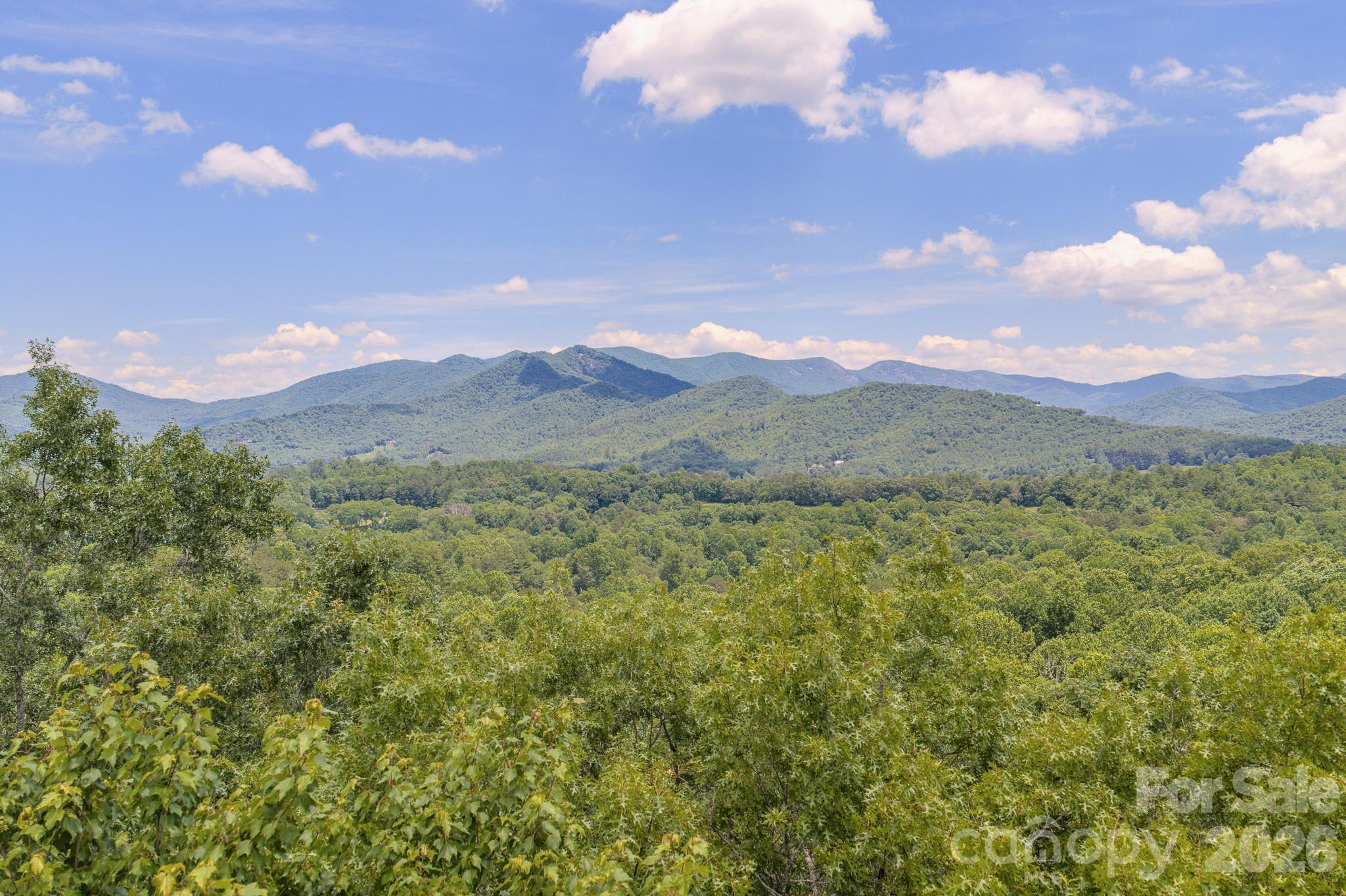 35 Coweeta Ridge Road Property Photo 48