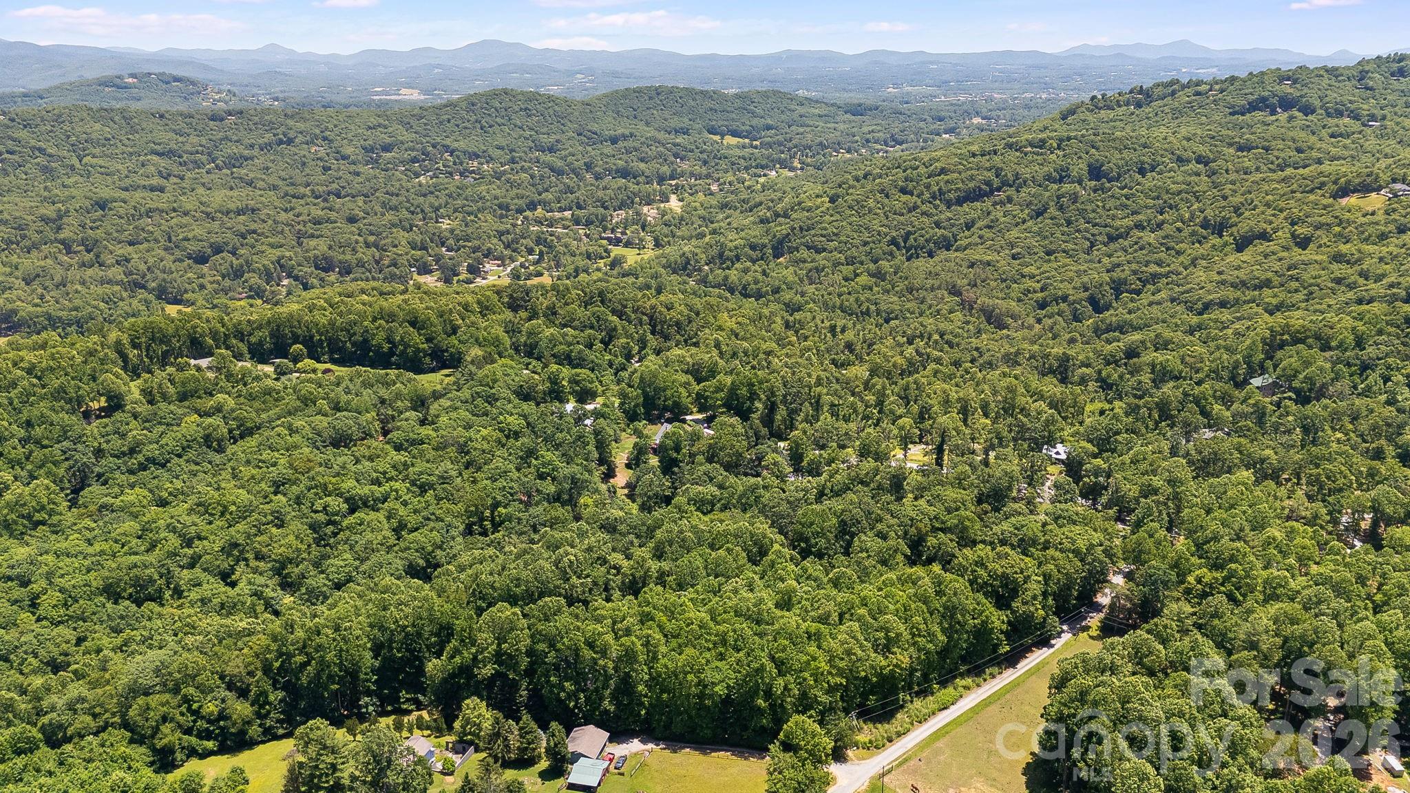 43 Reeses Ridge Court Property Photo 3