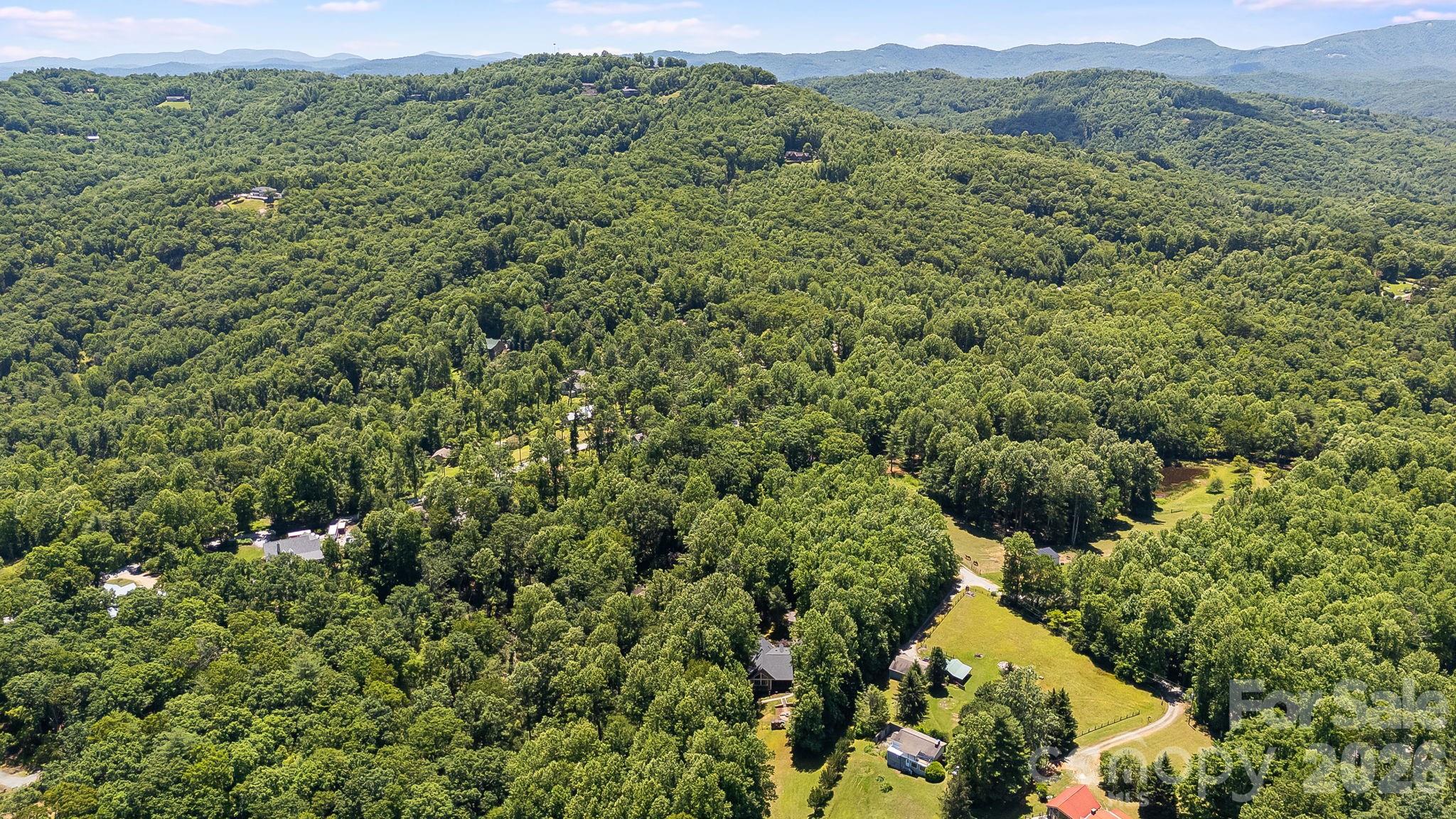 43 Reeses Ridge Court Property Photo 4