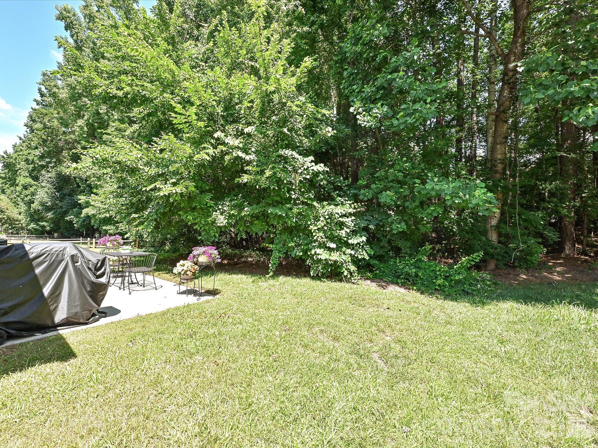 6719 Reedy Creek Road Property Photo 30