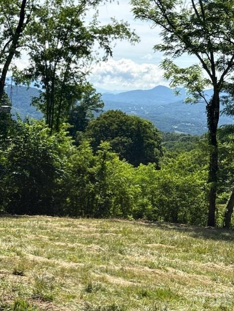 #38 Sleepy Hollow Drive Property Photo 1