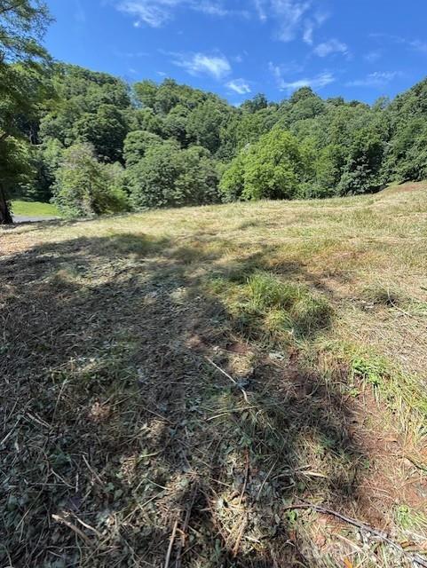 #38 Sleepy Hollow Drive Property Photo 7