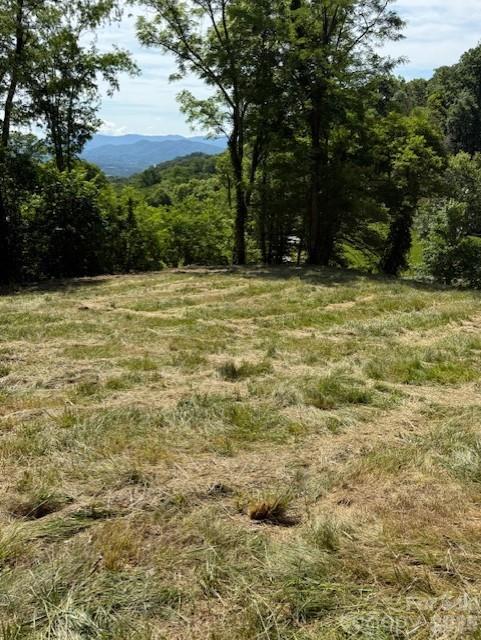 #38 Sleepy Hollow Drive Property Photo 10