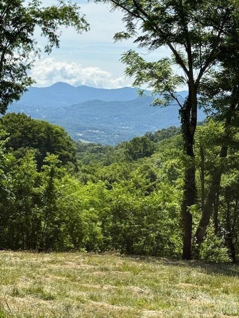 #38 Sleepy Hollow Drive Property Photo 11