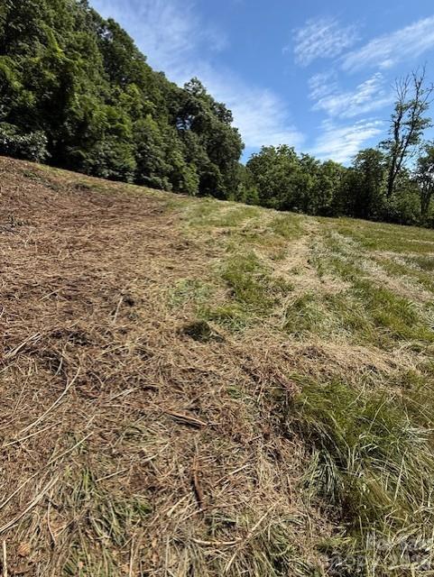 #38 Sleepy Hollow Drive Property Photo 12