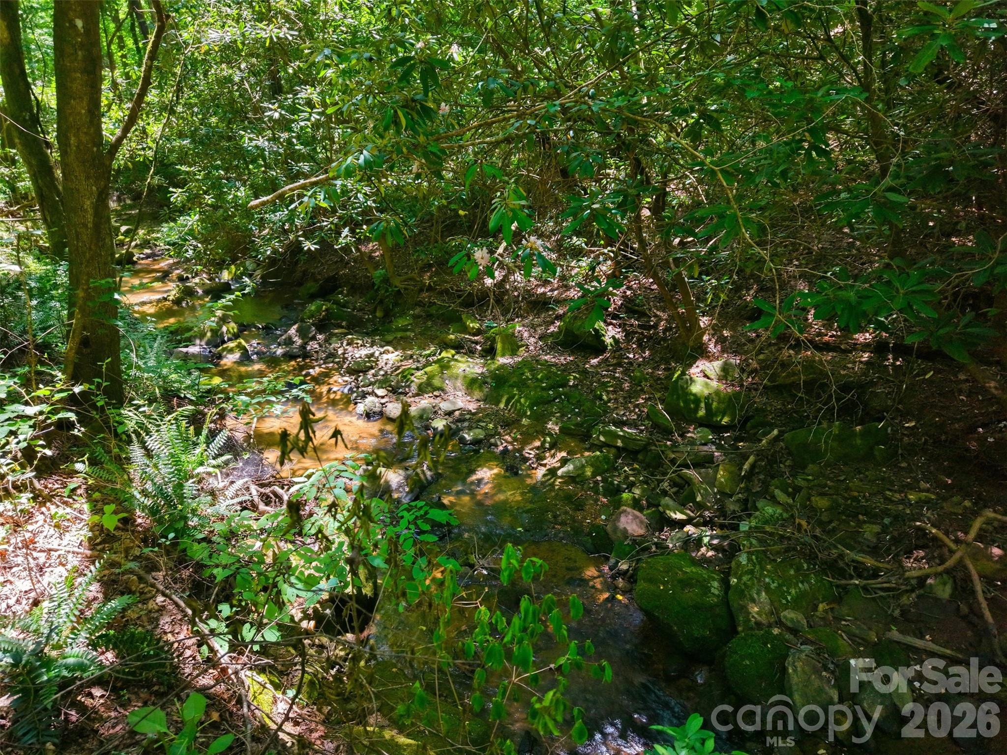 Tbd Basin Creek Drive 14 Property Photo 17