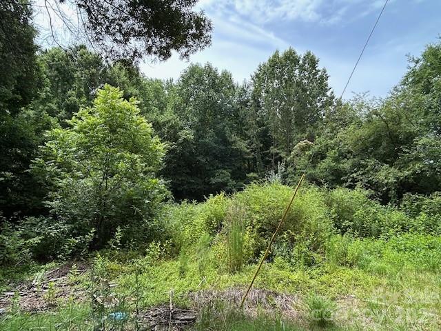 145 Alexander Acres Road Property Photo 9