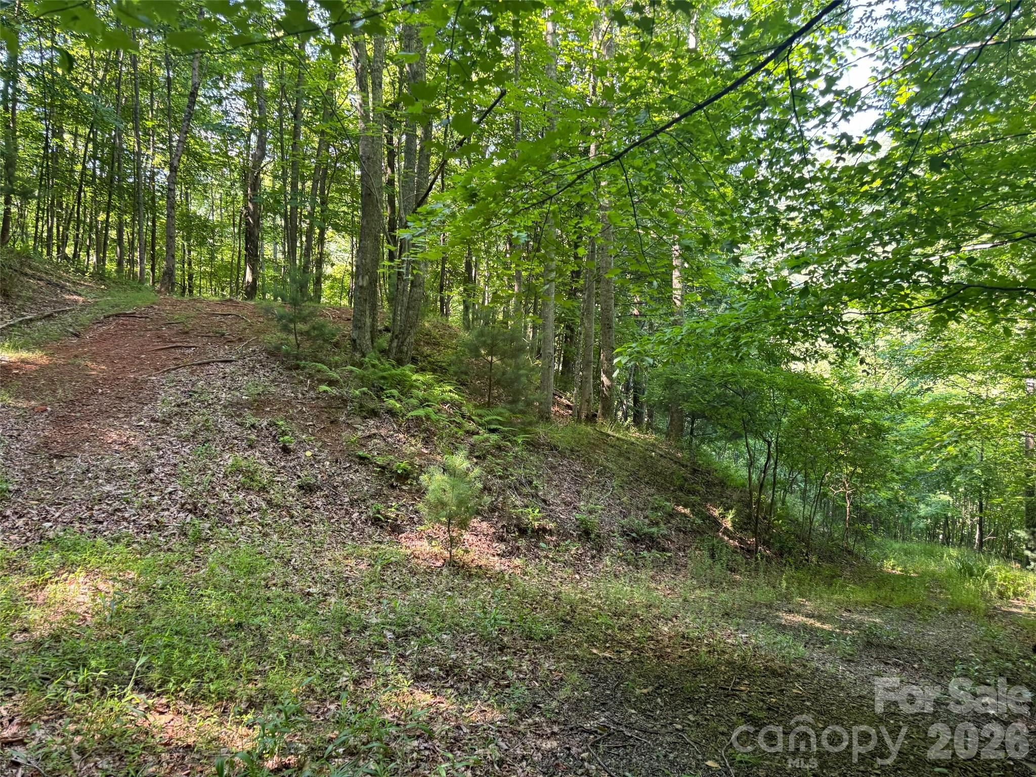 856 Stoney Stream Lane 146 & 147 Property Photo 3